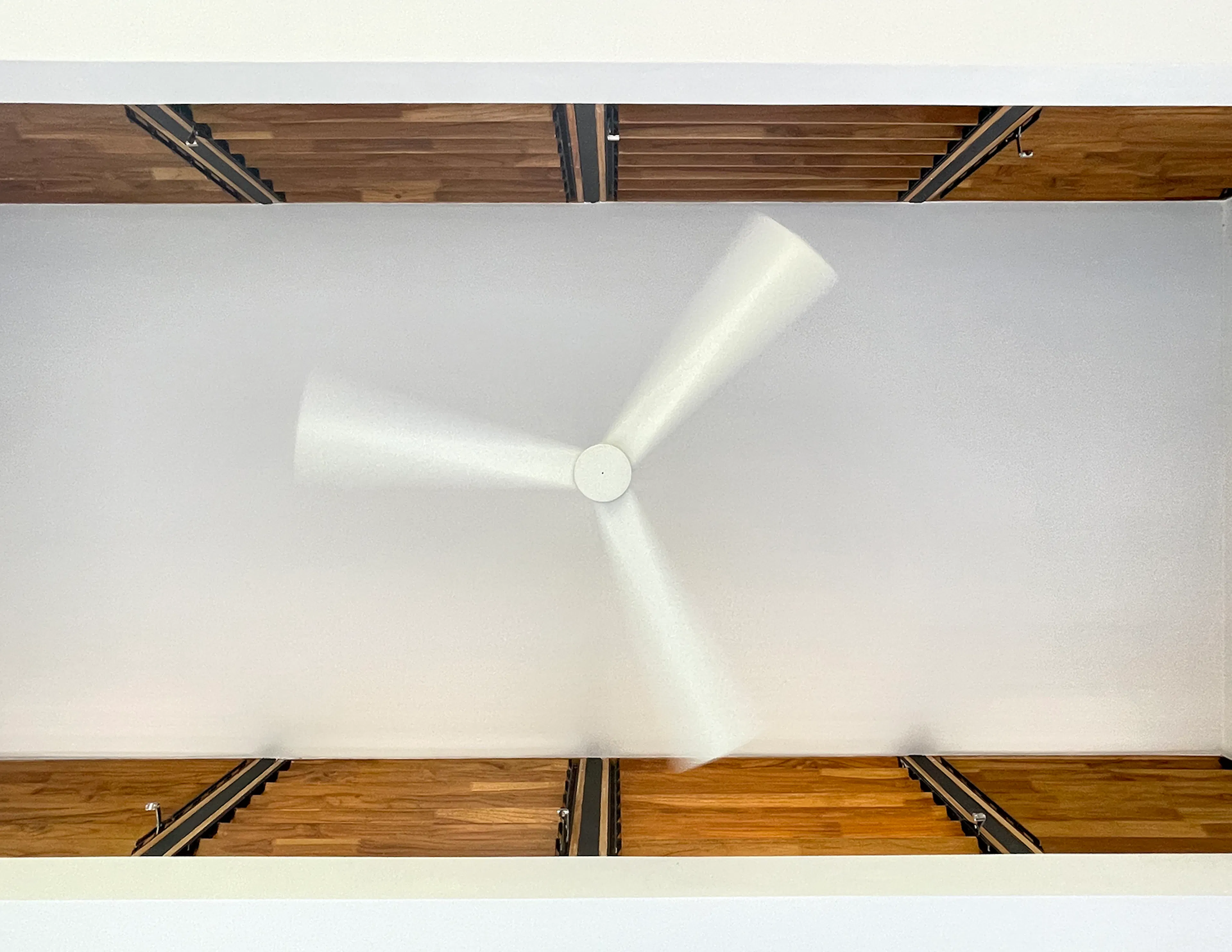 Biophilic Prefab Home — 11