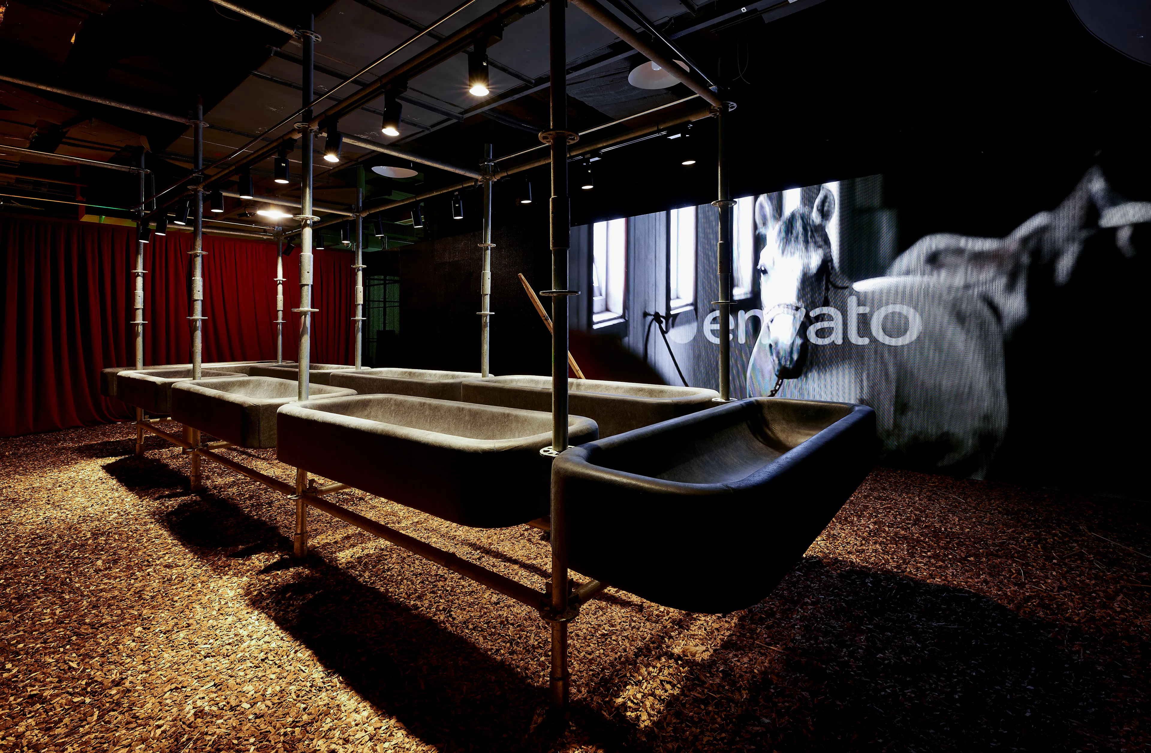 TX Black Market — 10