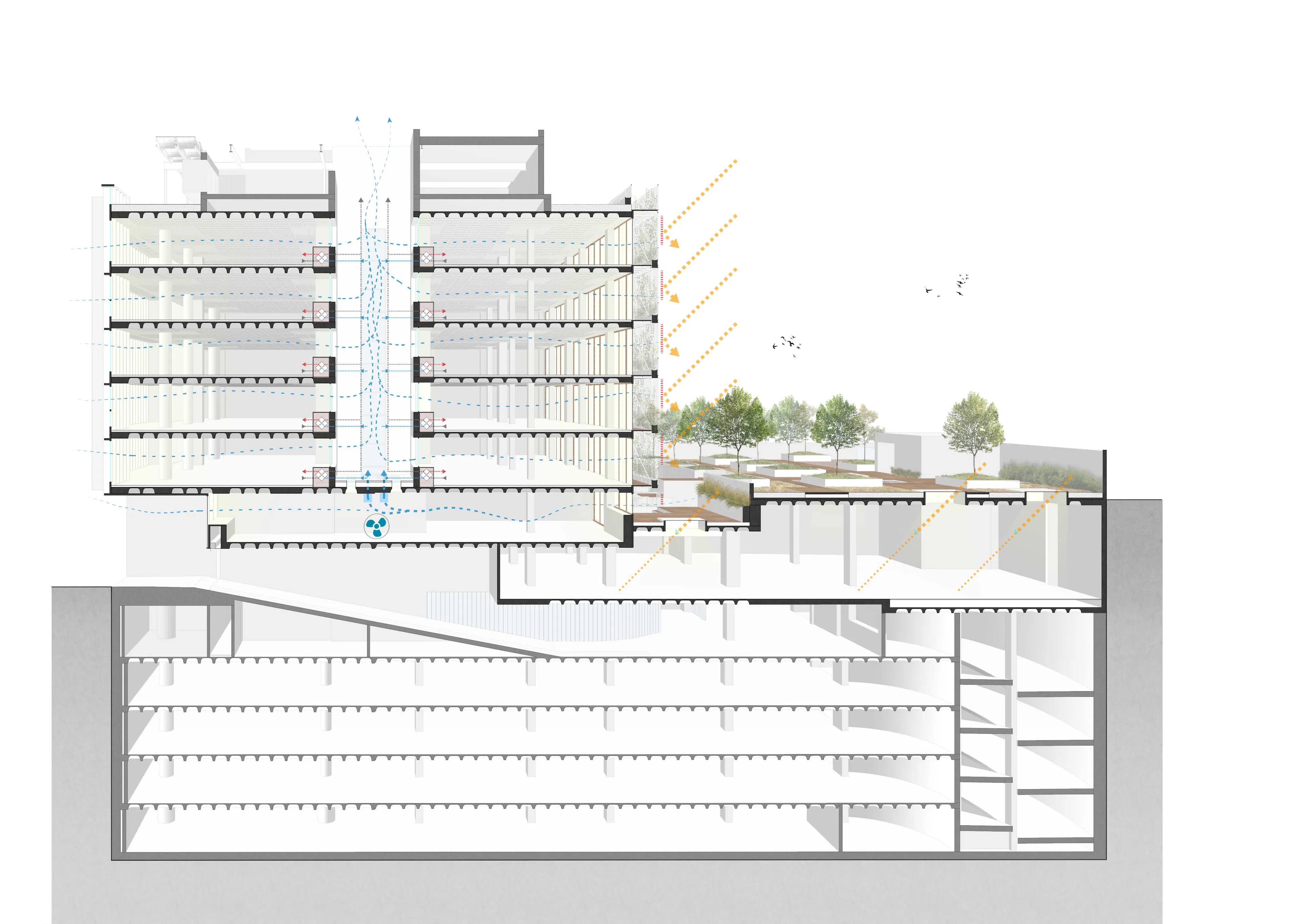 Aribau195: Reconnecting Nature, City & Livability — 14