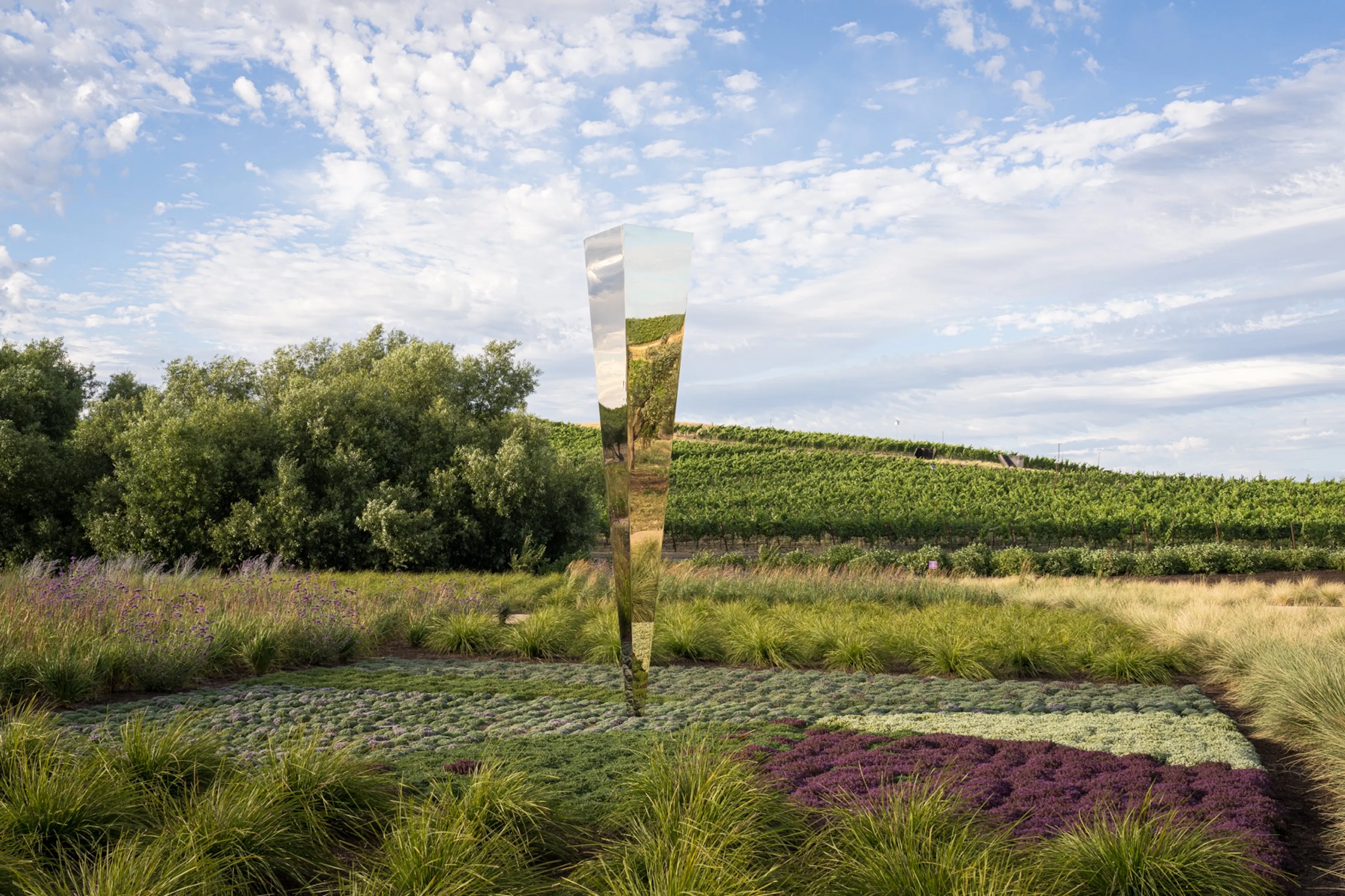 Sensory Garden at the Donum Estate — 3