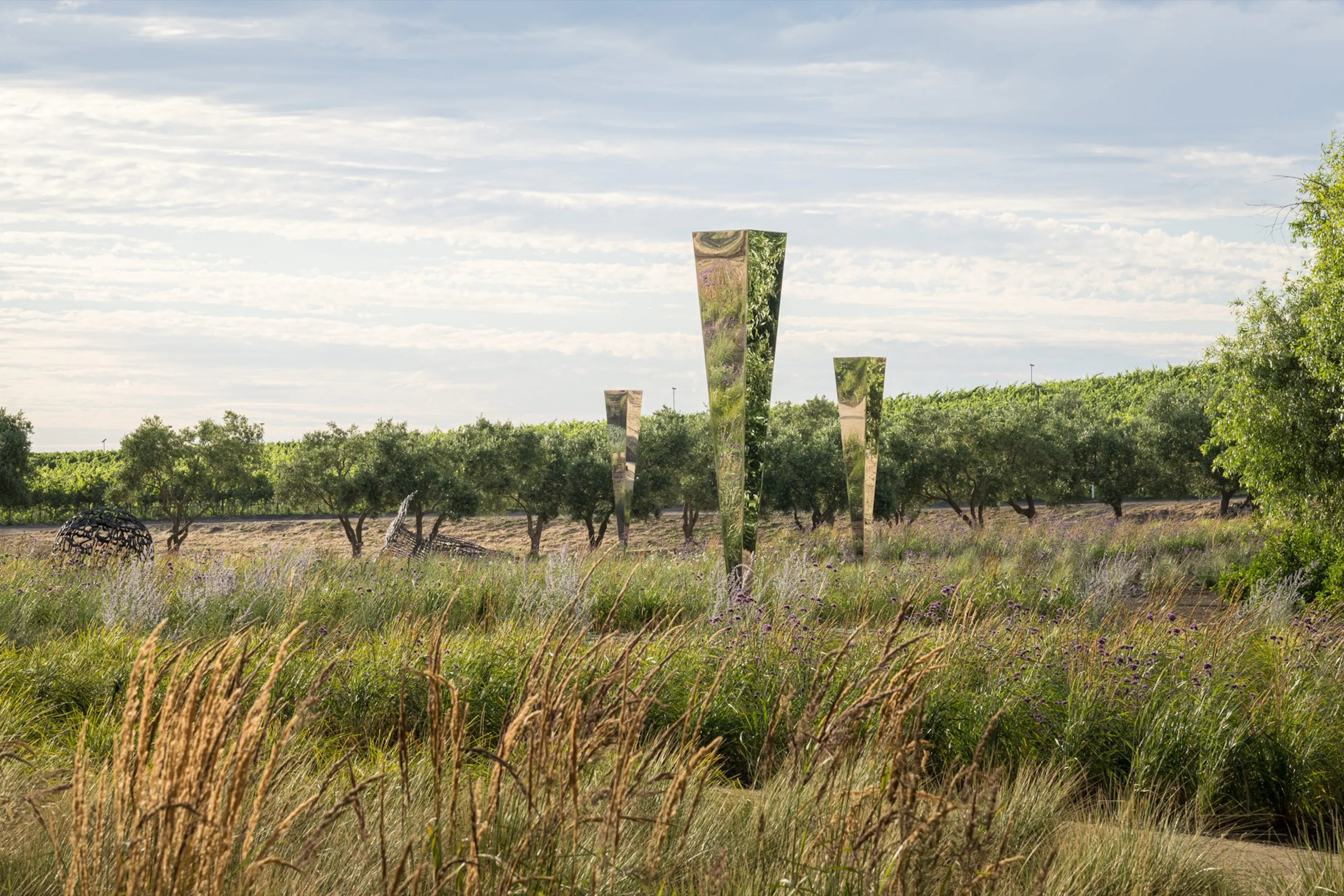 Sensory Garden at the Donum Estate — 4