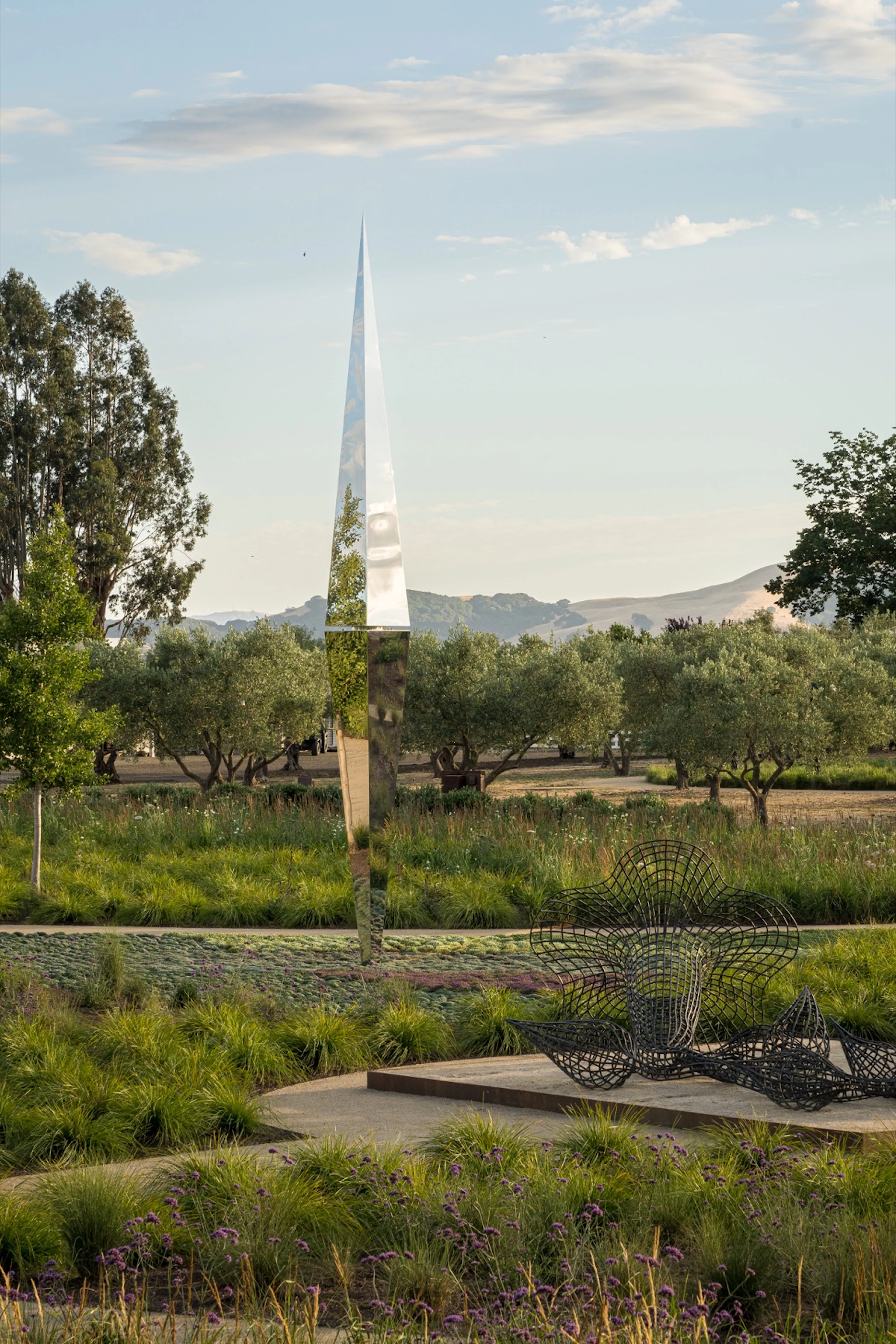 Sensory Garden at the Donum Estate — 6