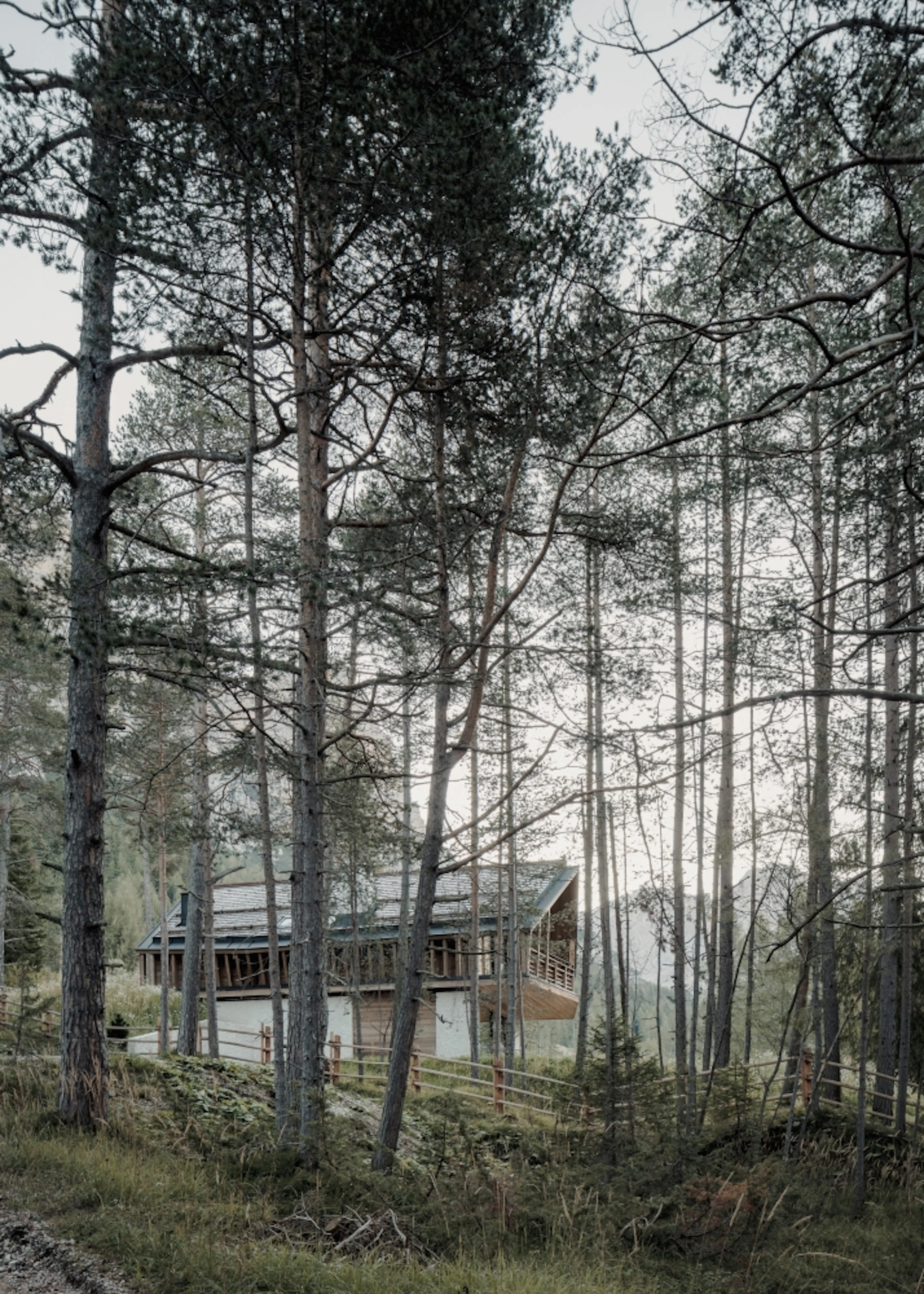 House Conturines — 4