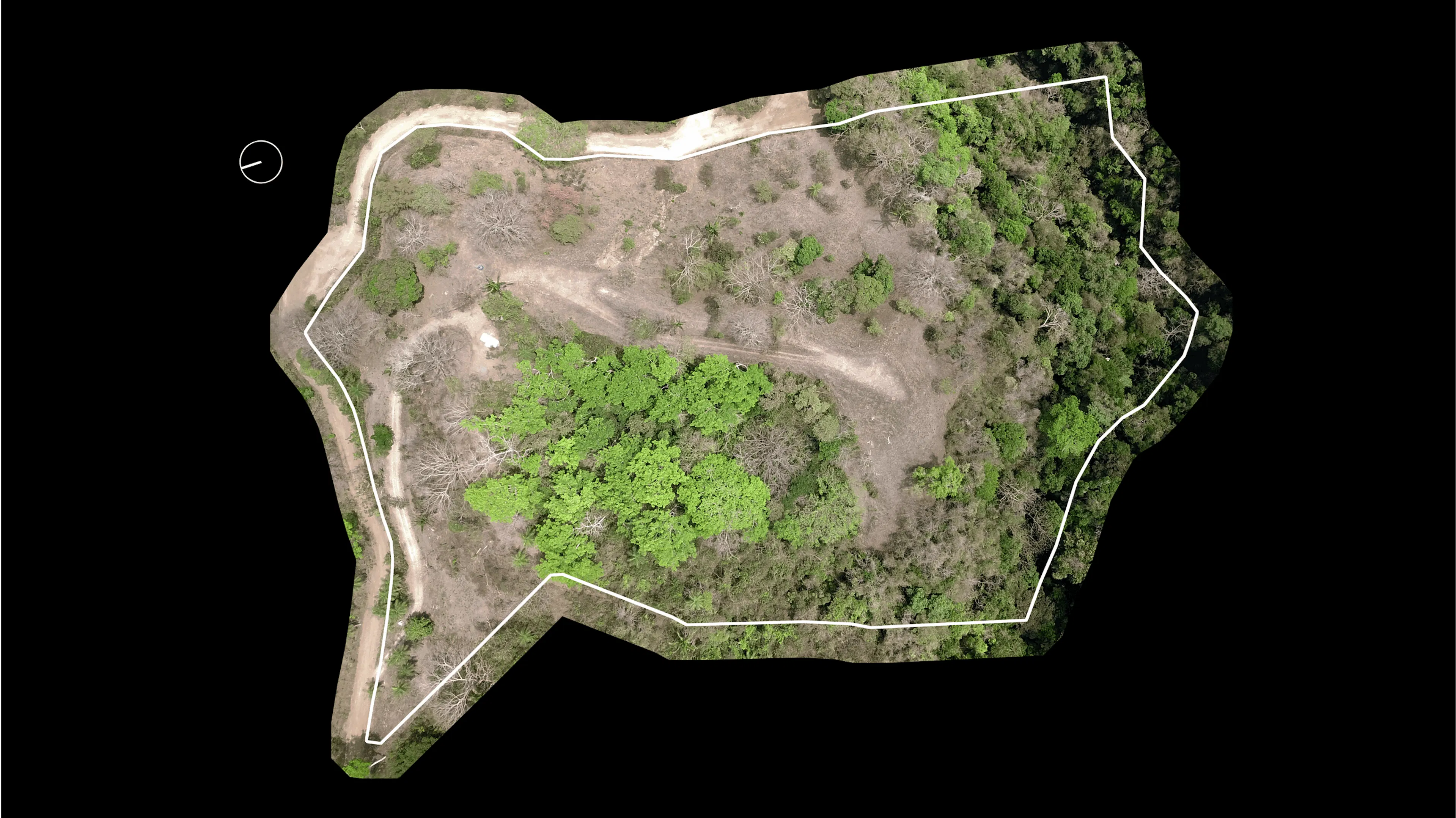 Biophilic Prefab Home — 6