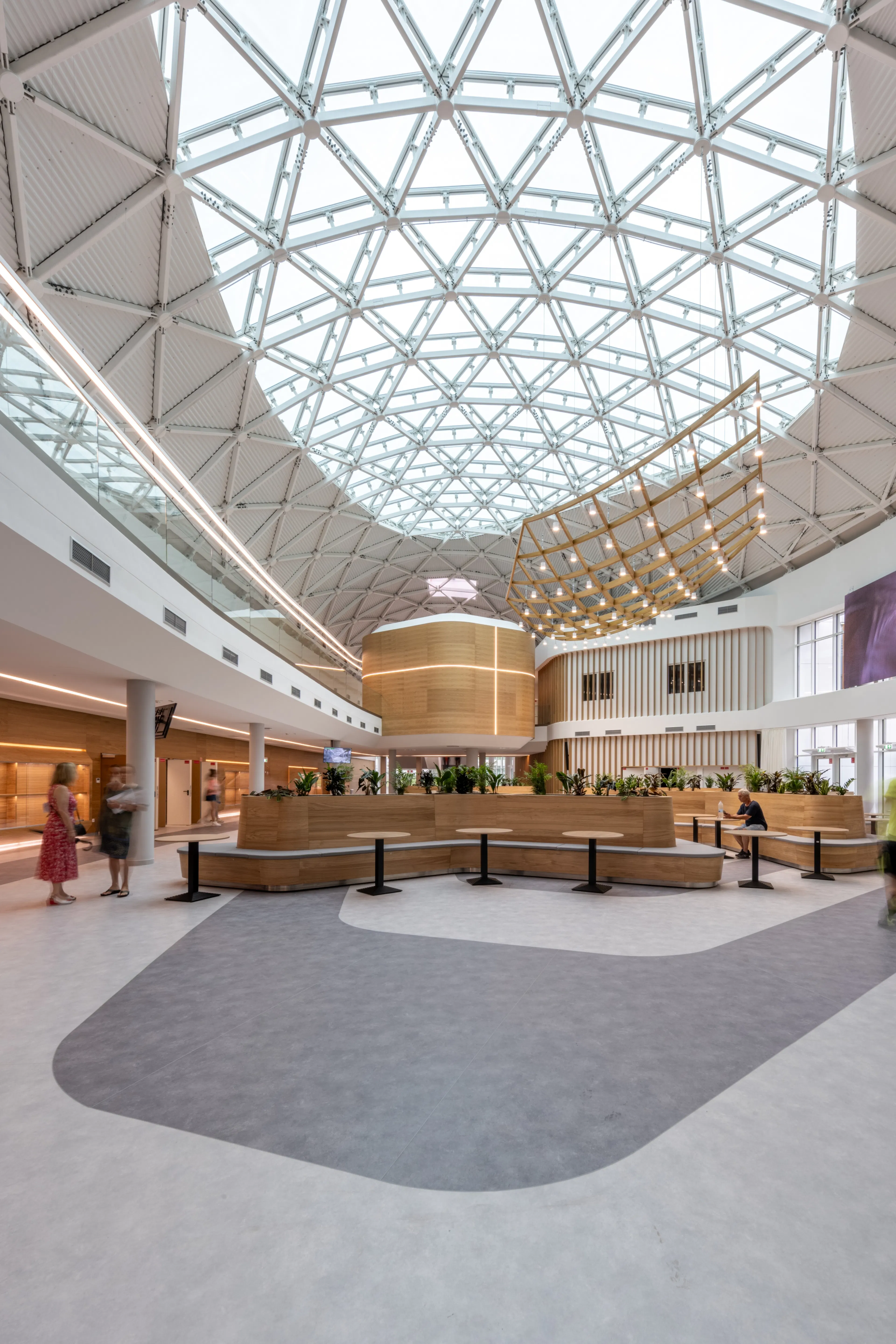 Jedlik Ányos High School — 13