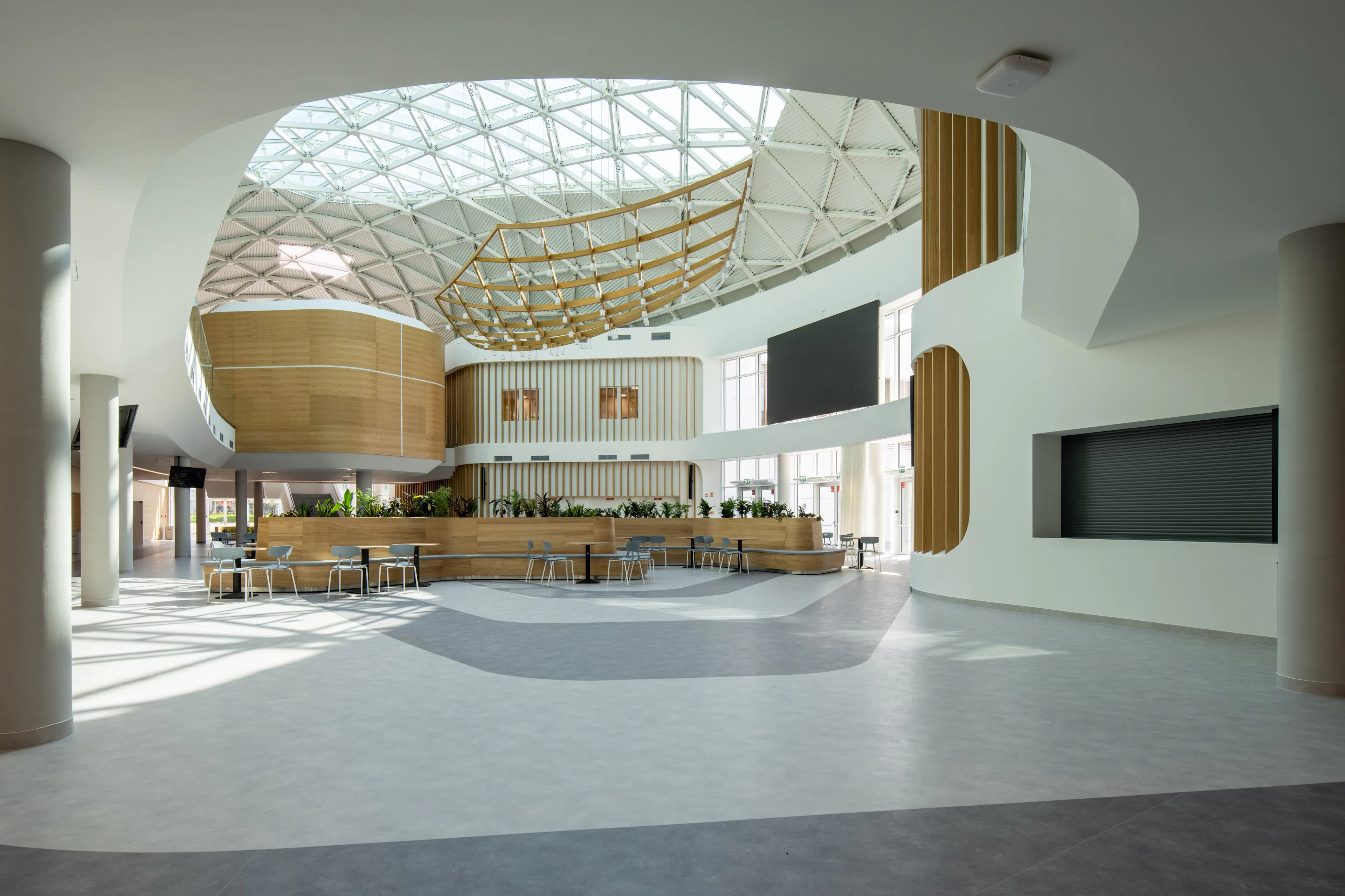 Jedlik Ányos High School — 20