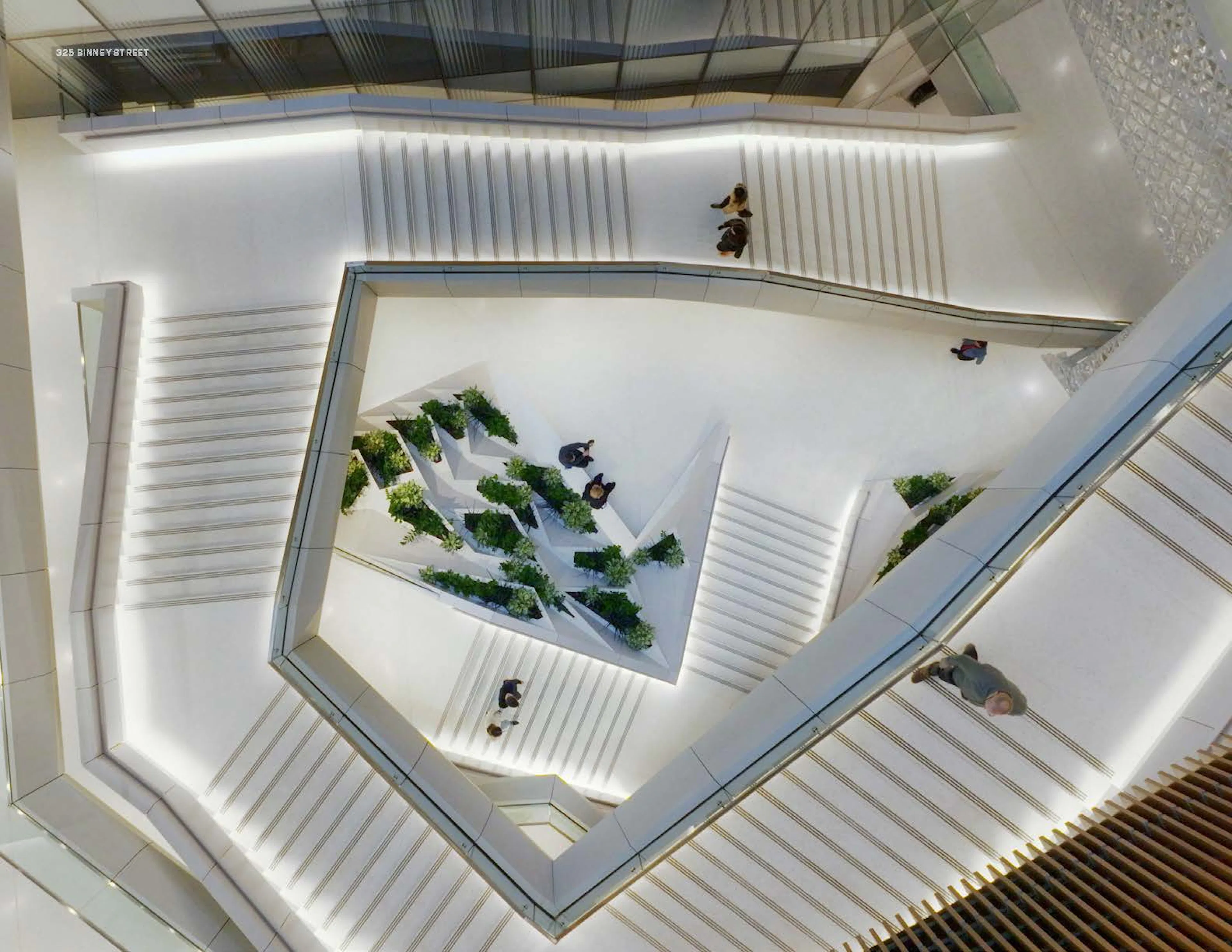 325 Binney Street — 4