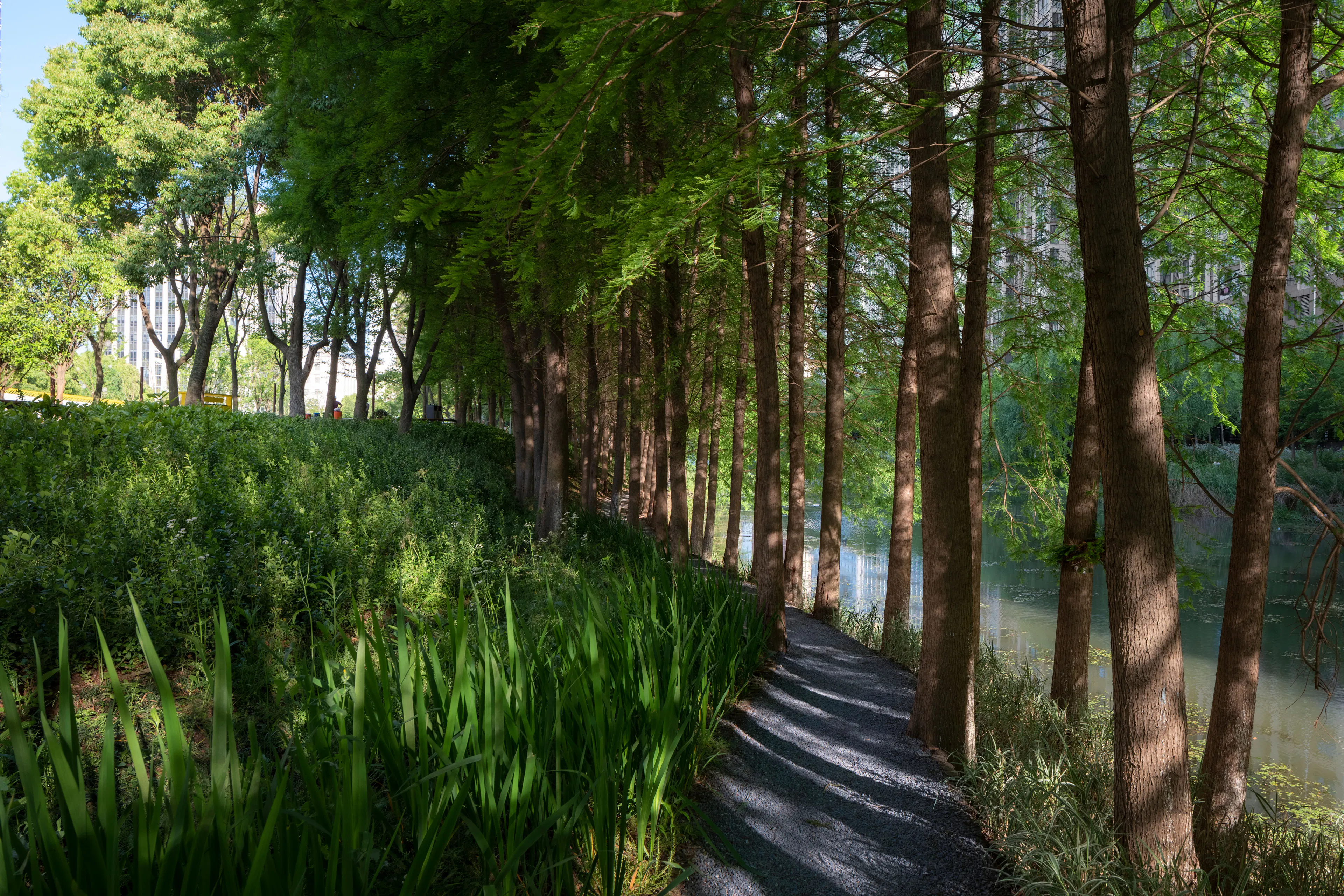 The Orchestra Park — 6