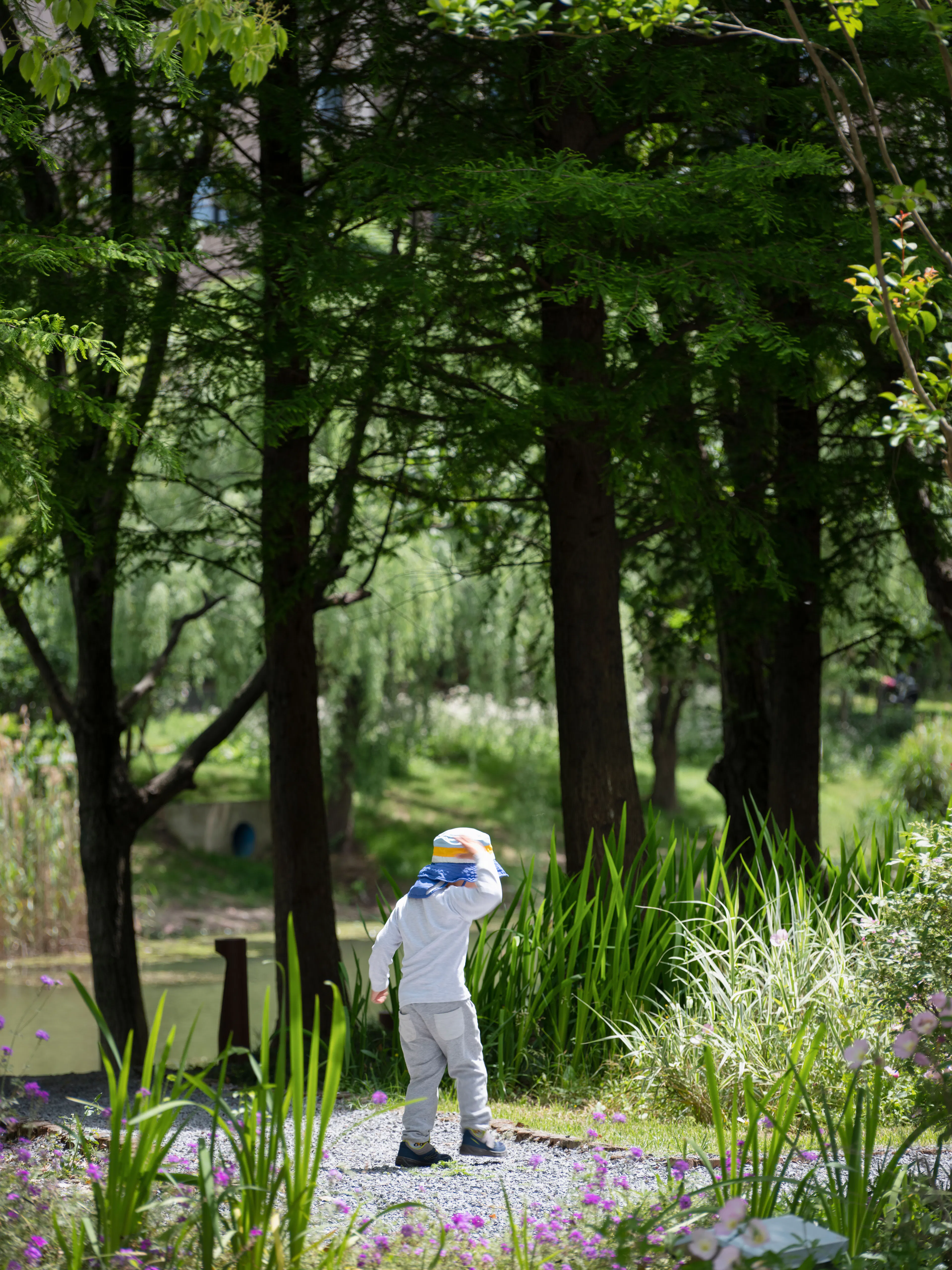 The Orchestra Park — 16