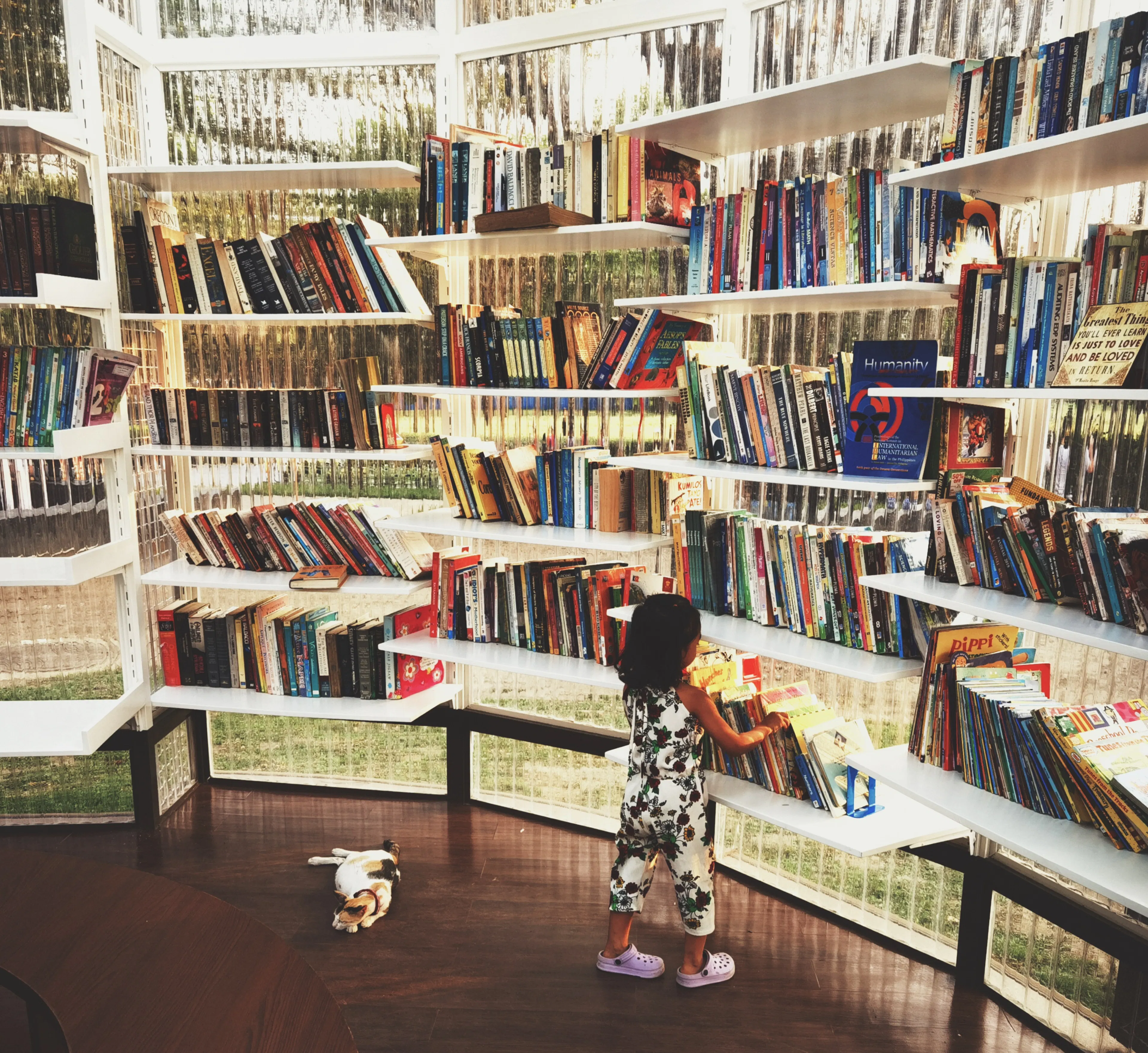 The Book Stop 5 — 12