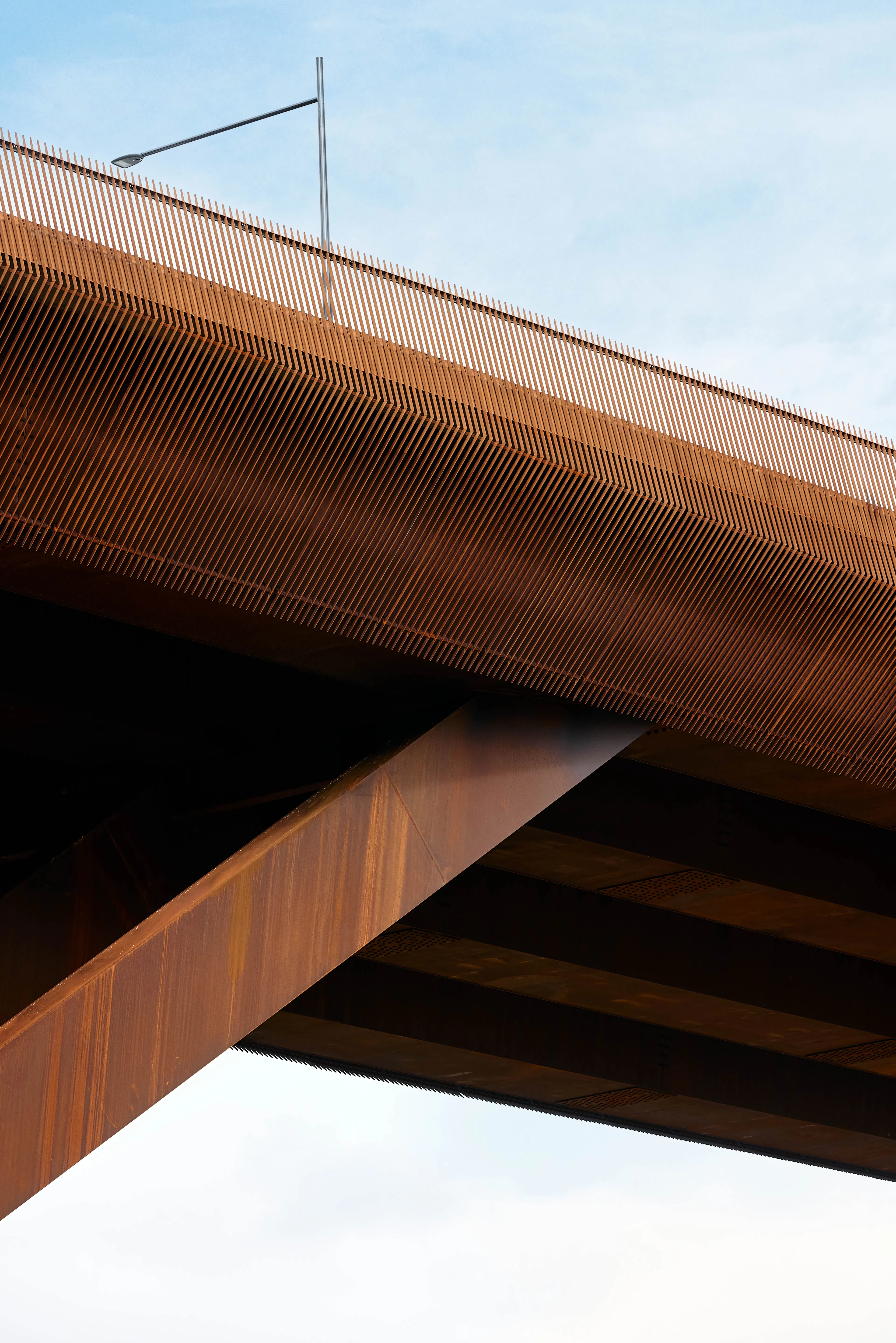 Te Ara Pekapeka — 3