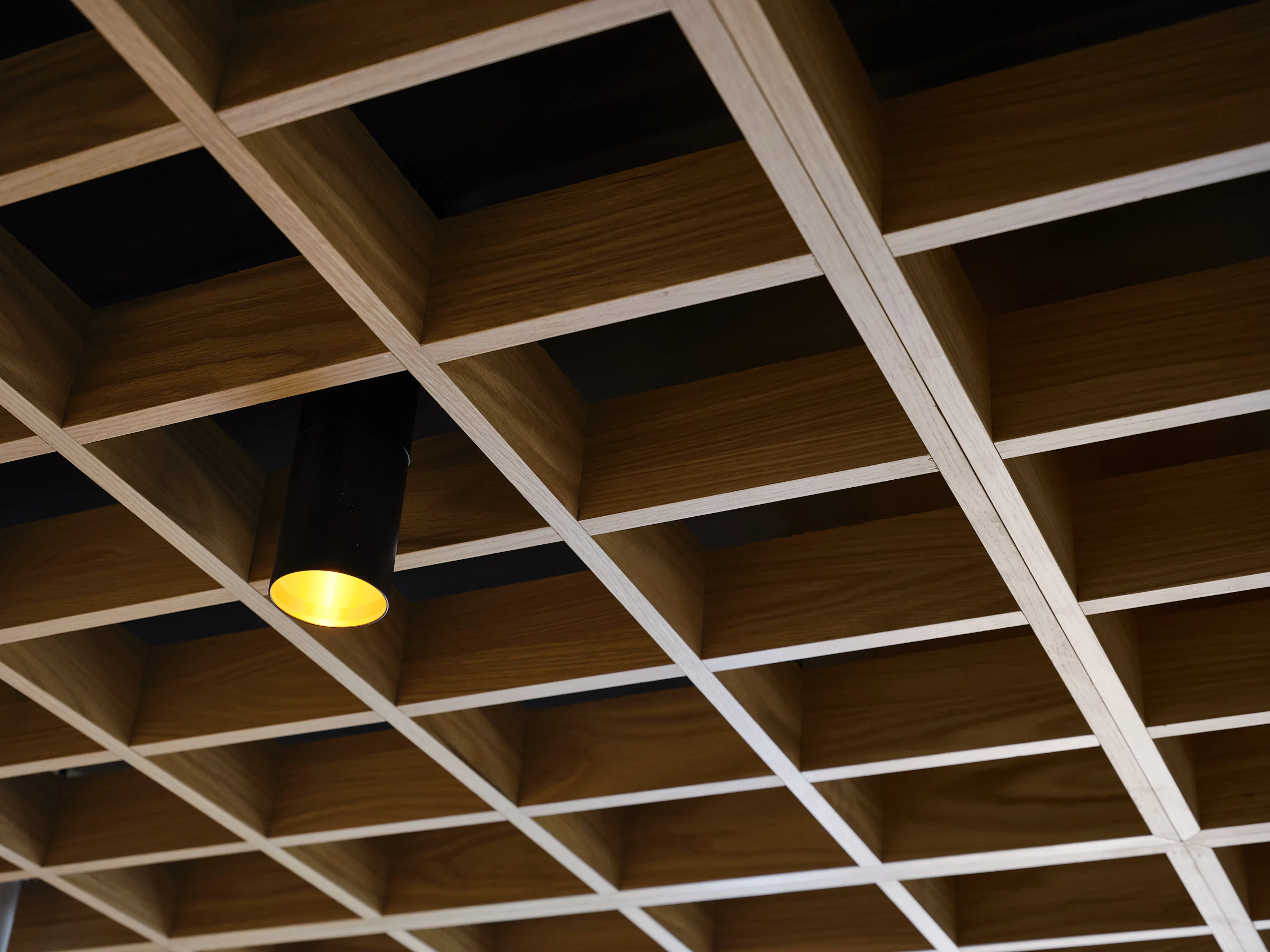 Clinique Monkland — 7