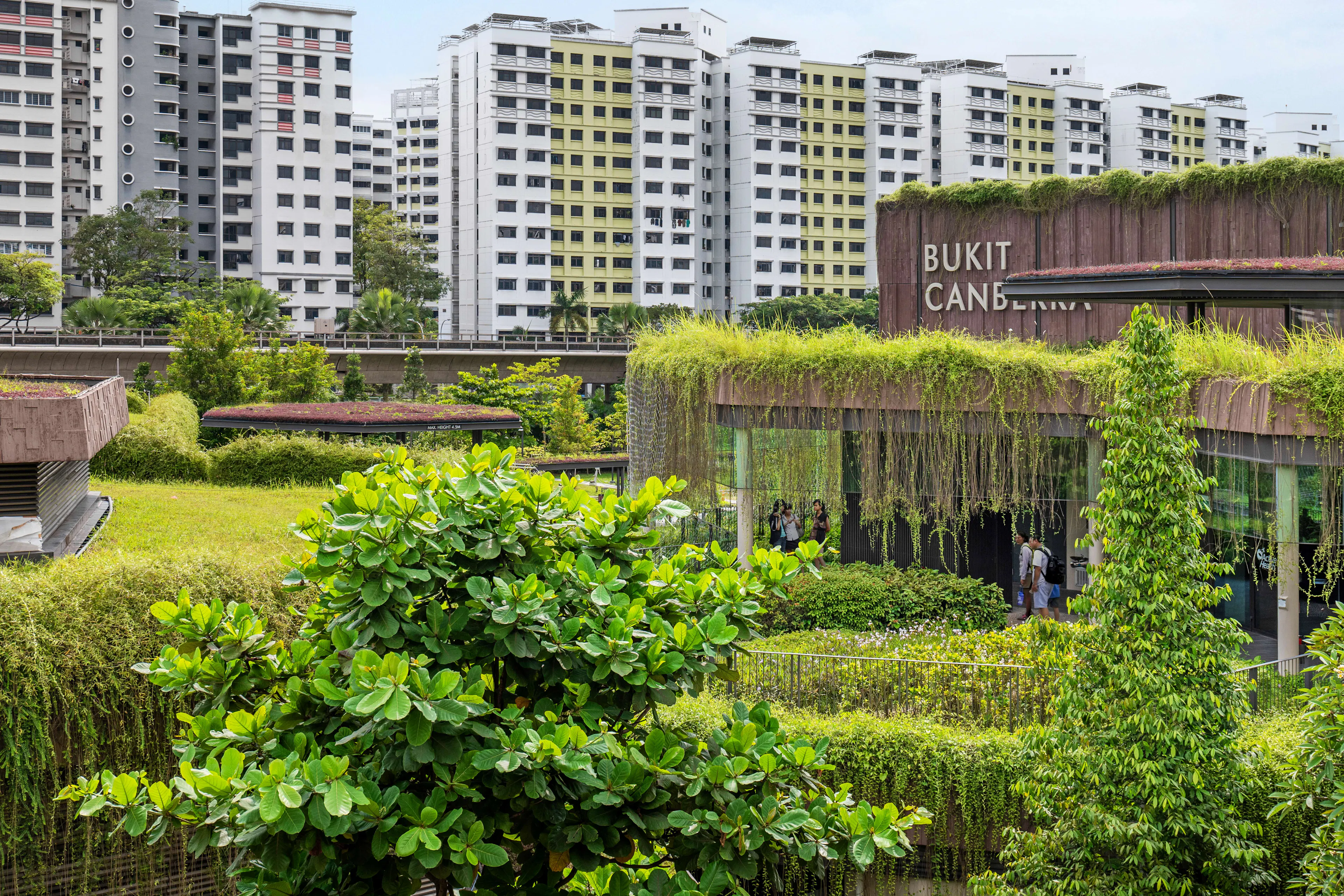 Bukit Canberra — 2