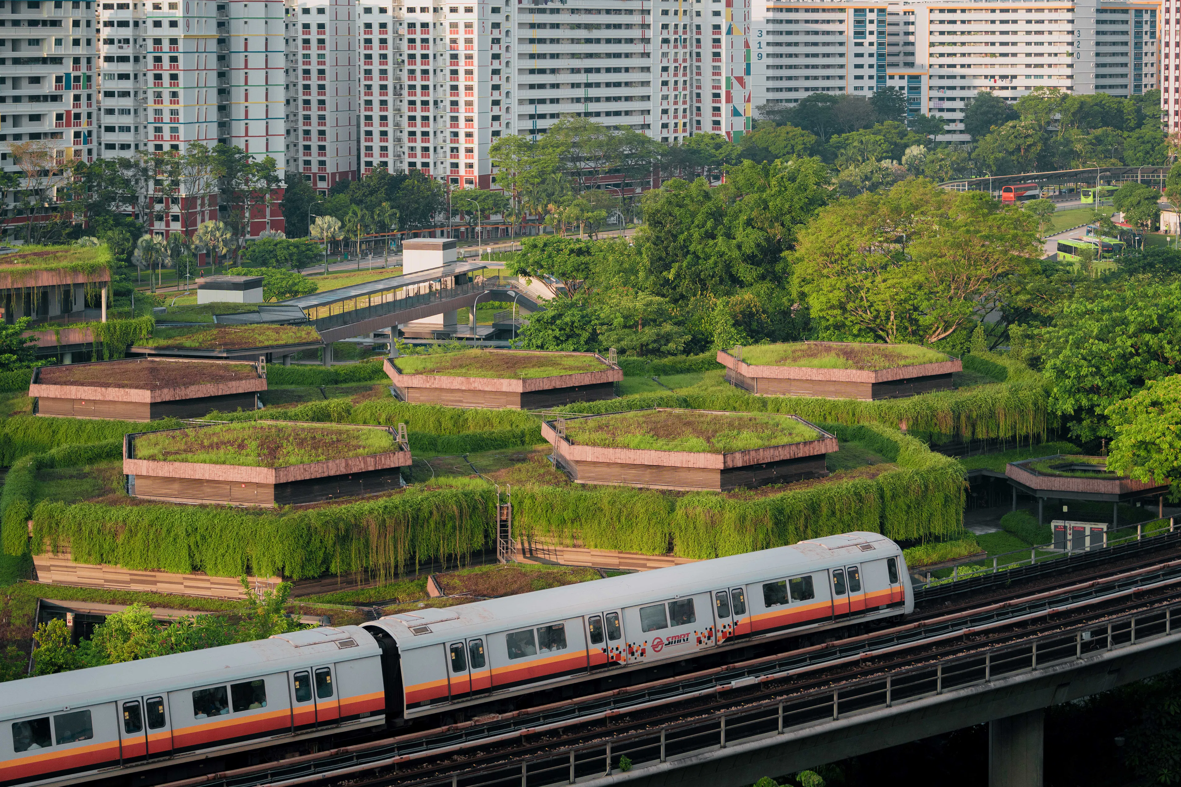 Bukit Canberra — 10