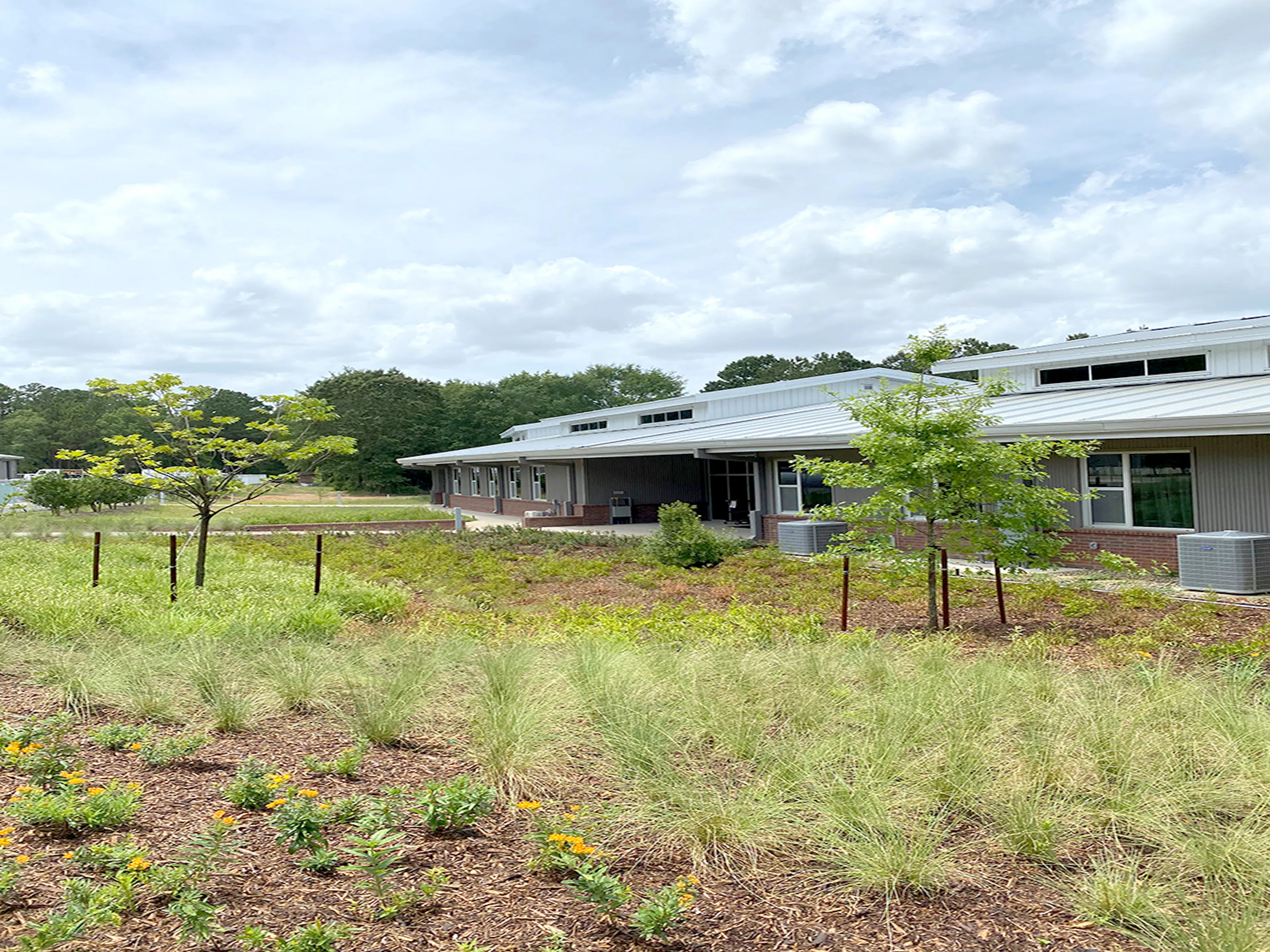 BRAVE/architecture — 6