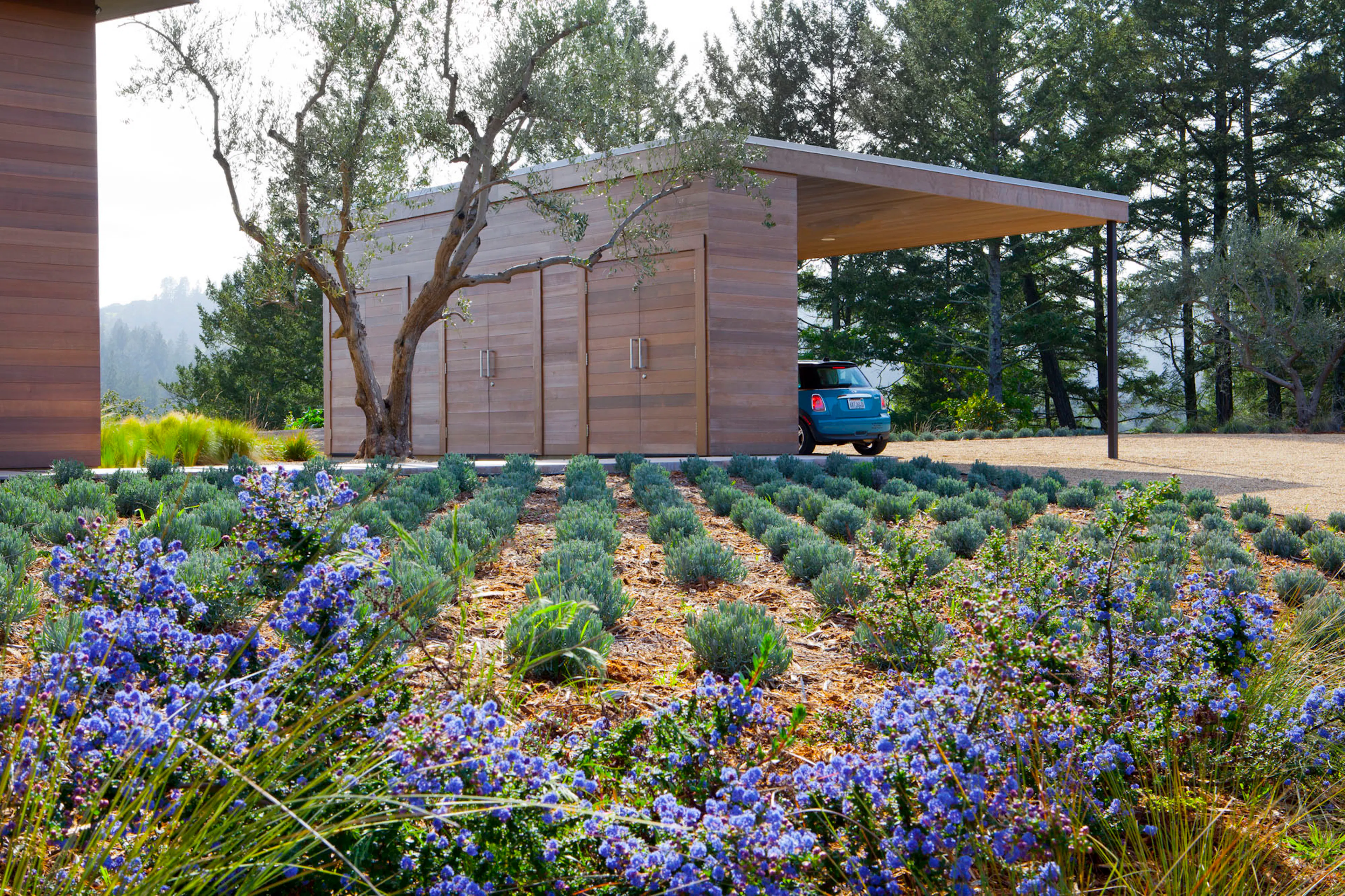 On the Edge of the Continent — 9