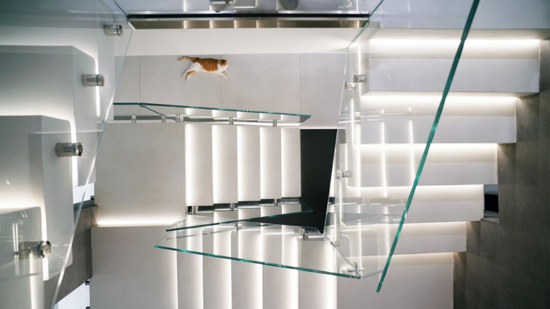 Interior Design & Build Company - Custom Home Renovation California