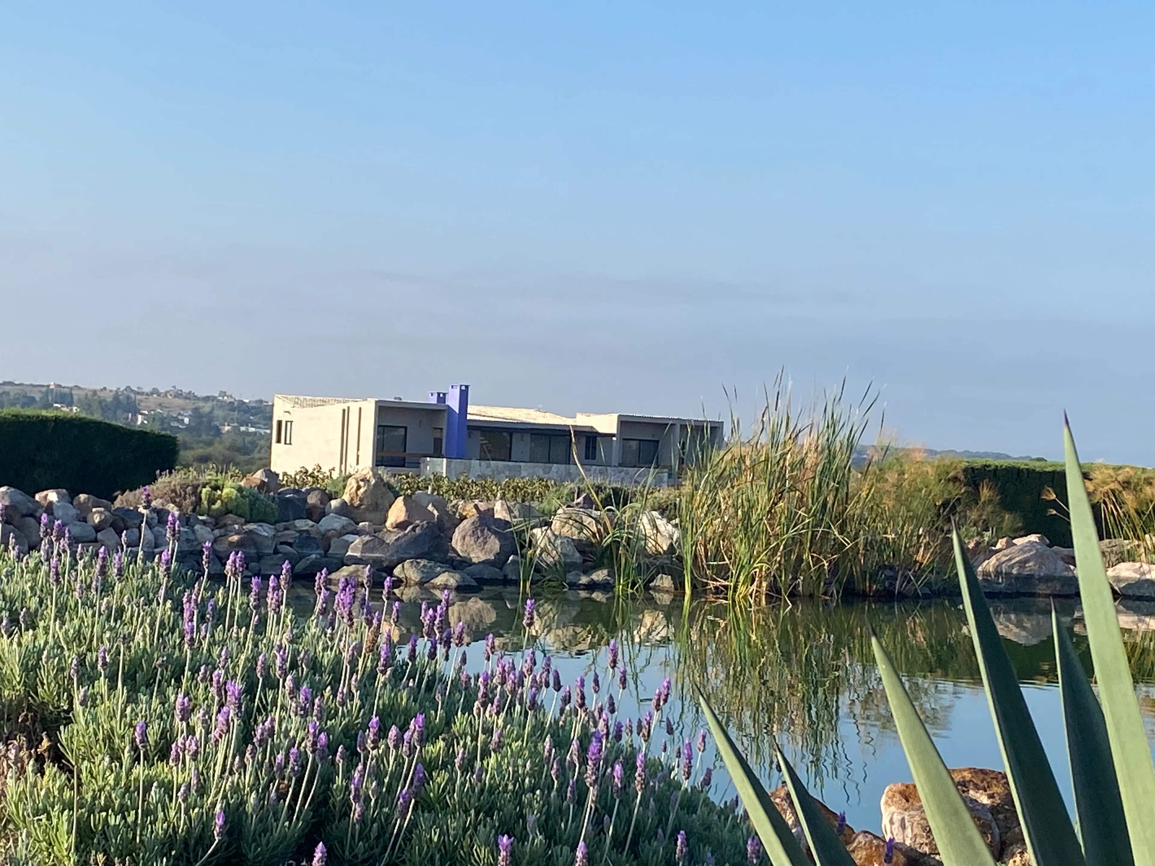 CASA JARDIN ESCANDON — 2