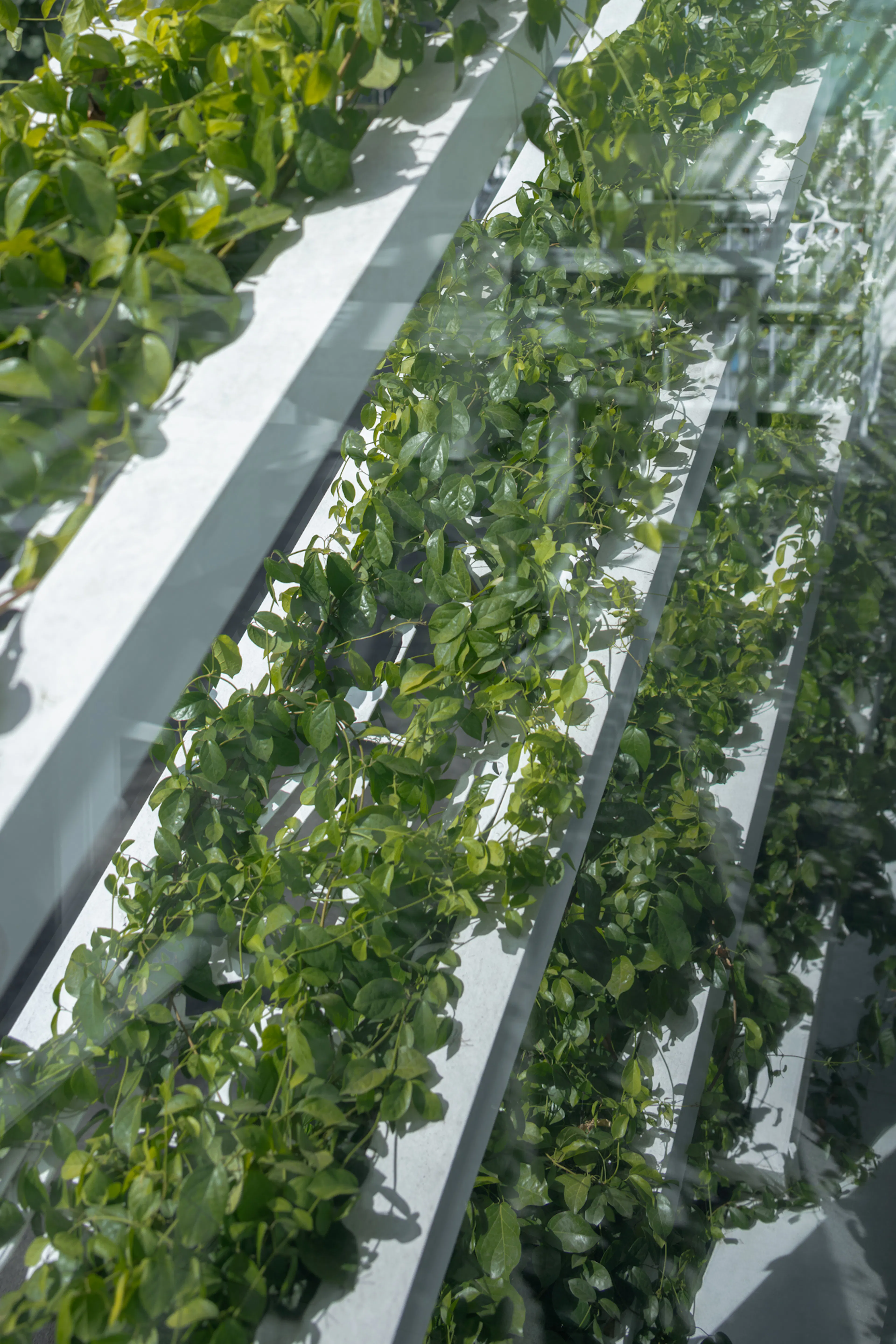 "No Time to Waste" Office — 17