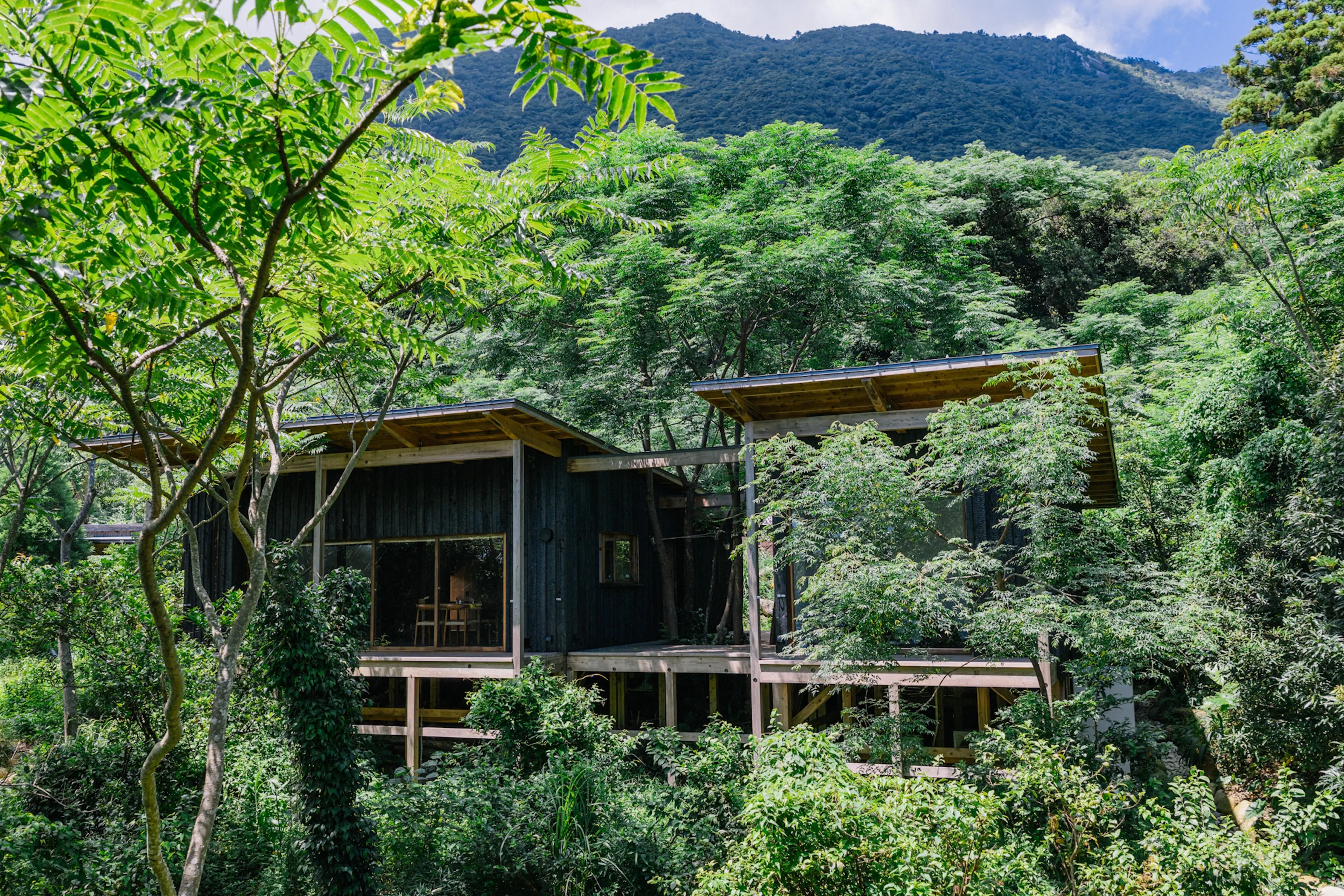 Sumu Yakushima — 16