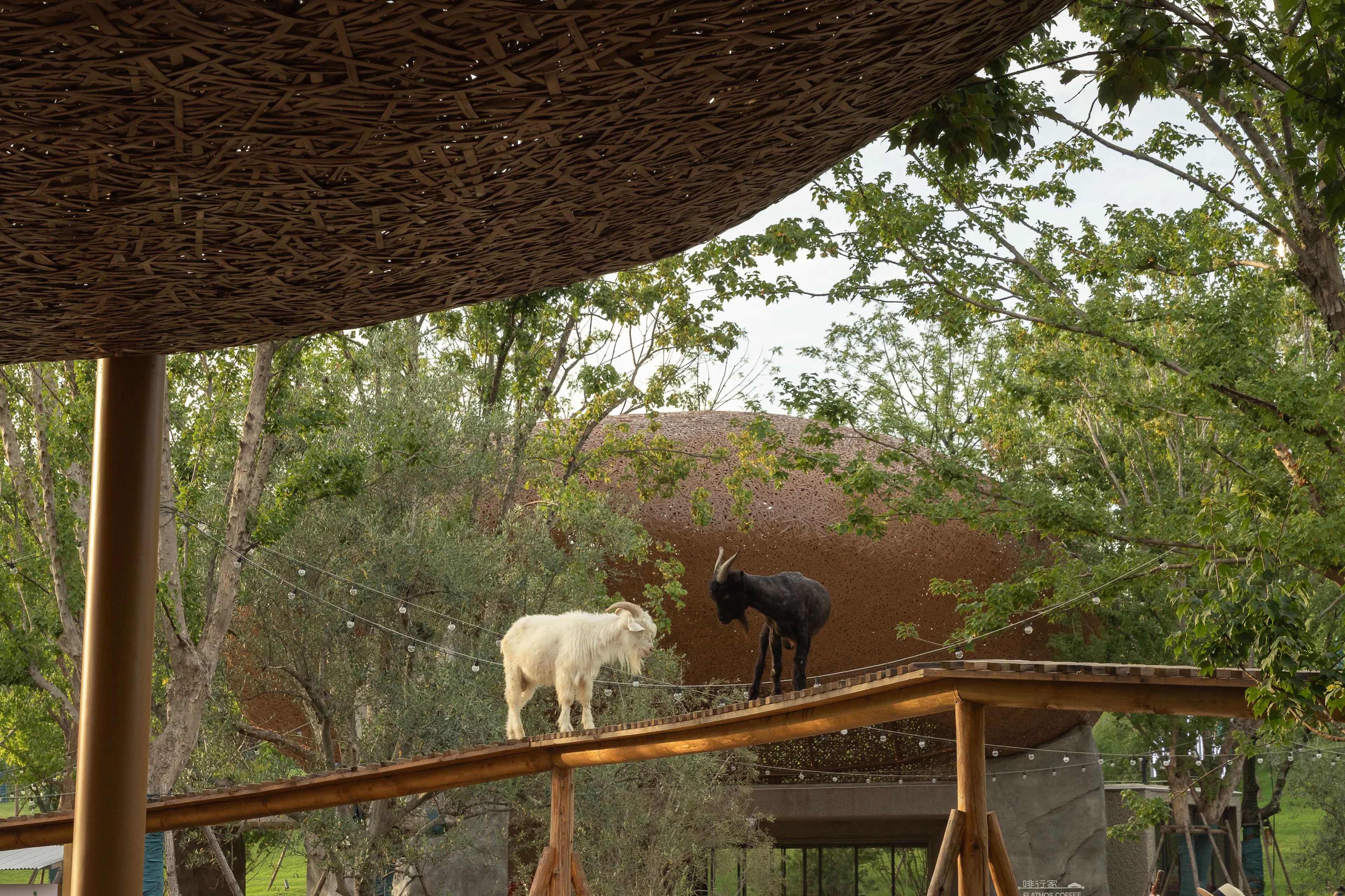 Various Associates — 2