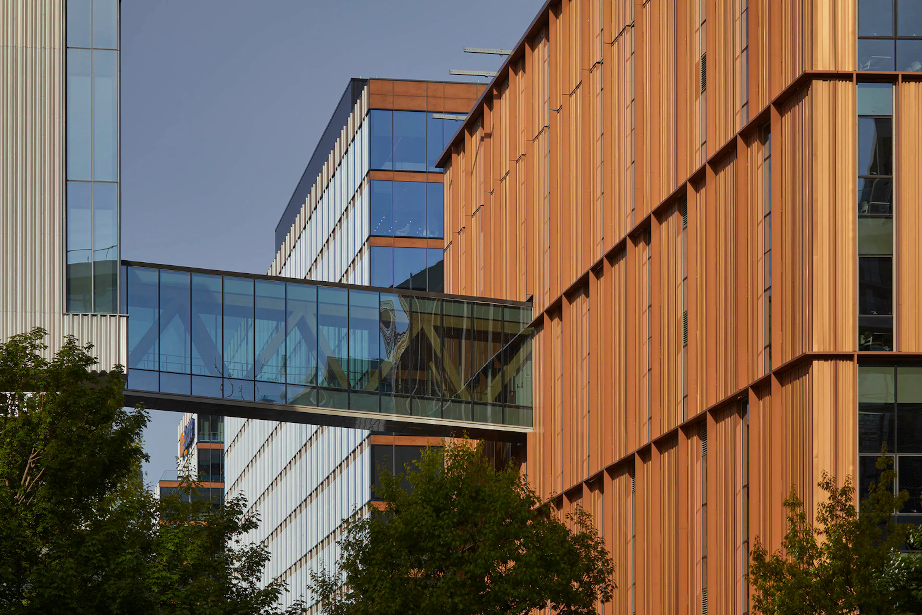 Limberlost Place, George Brown College — 25