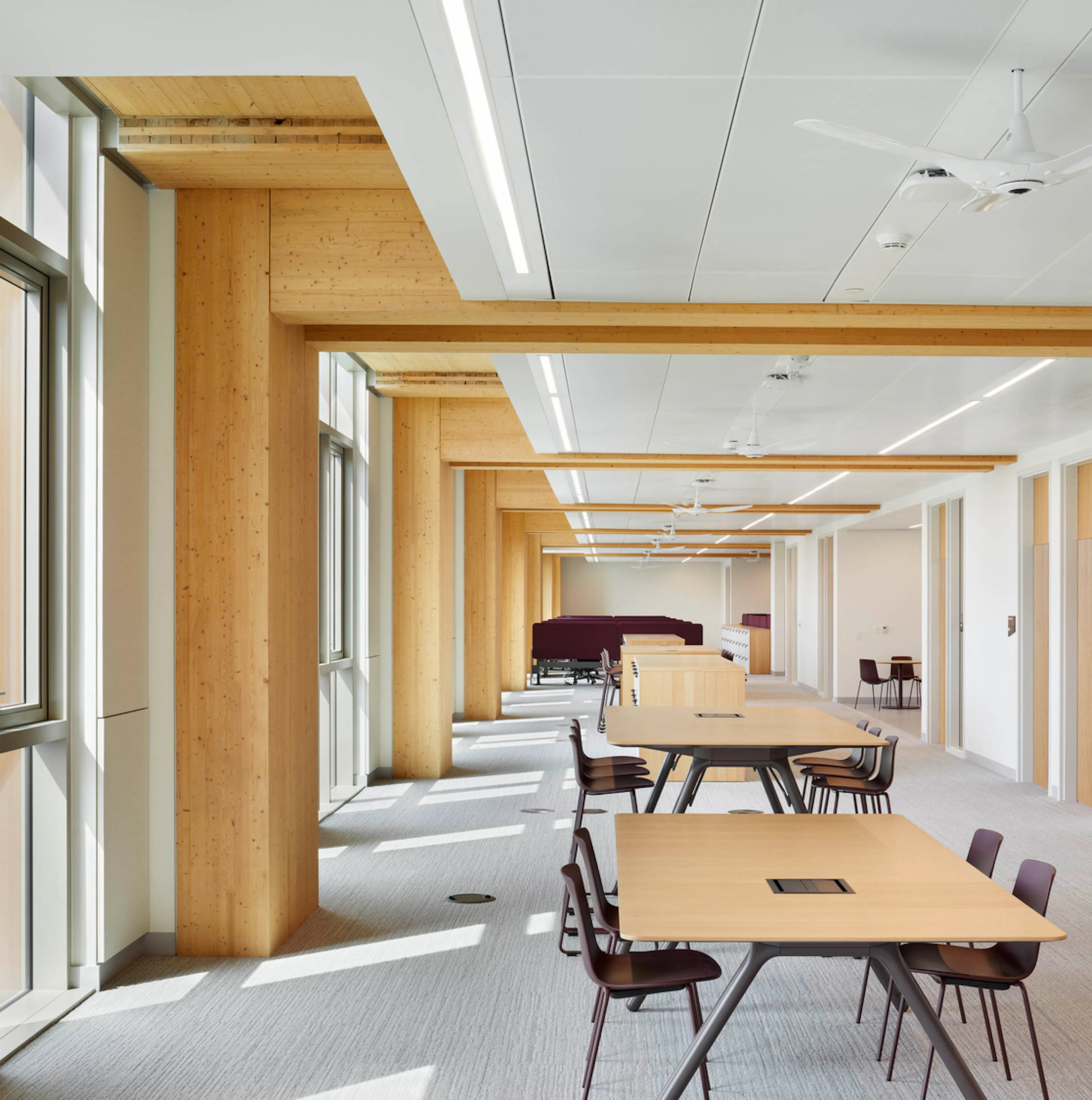 Limberlost Place, George Brown College — 11