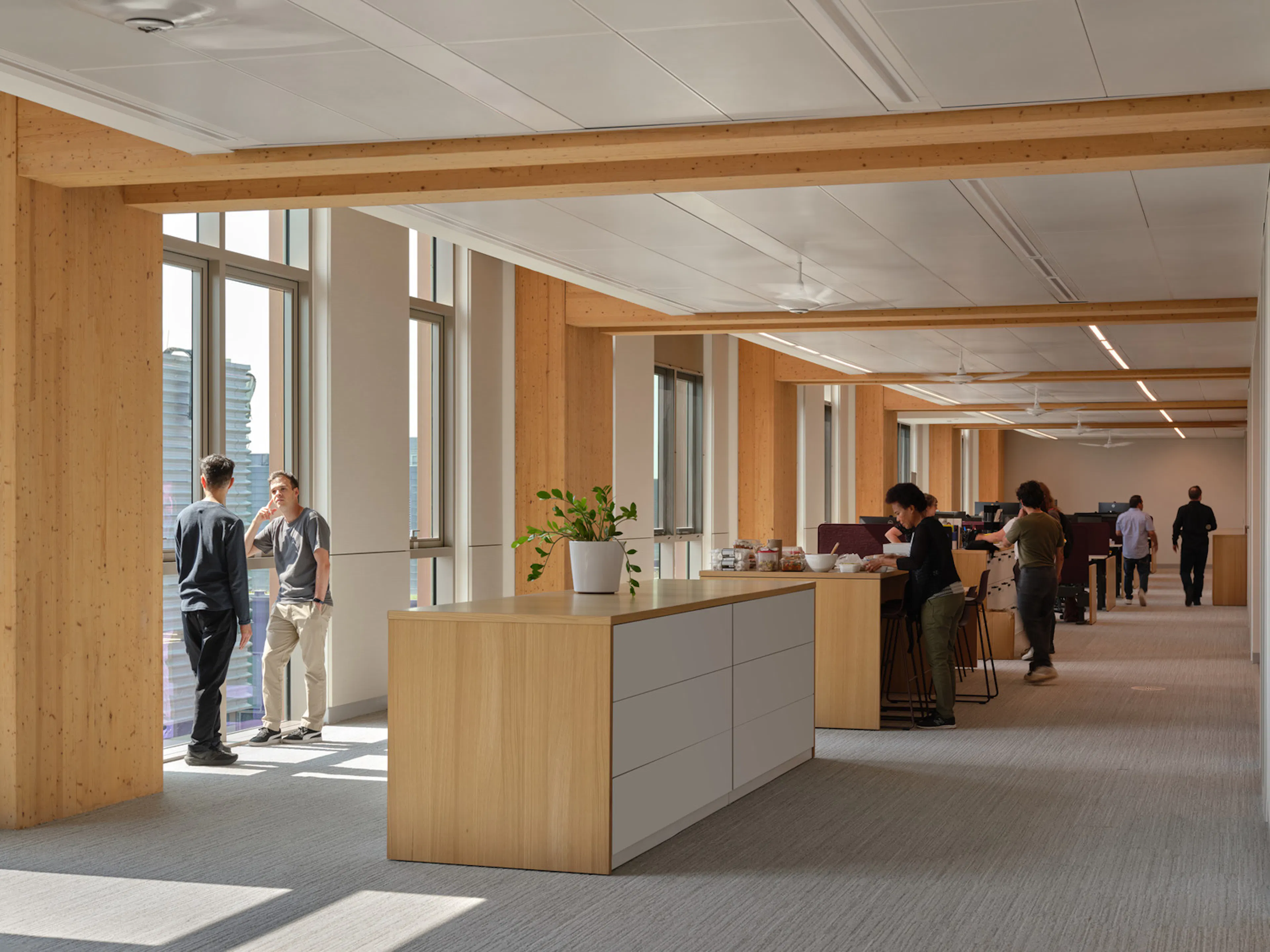 Limberlost Place, George Brown College — 23