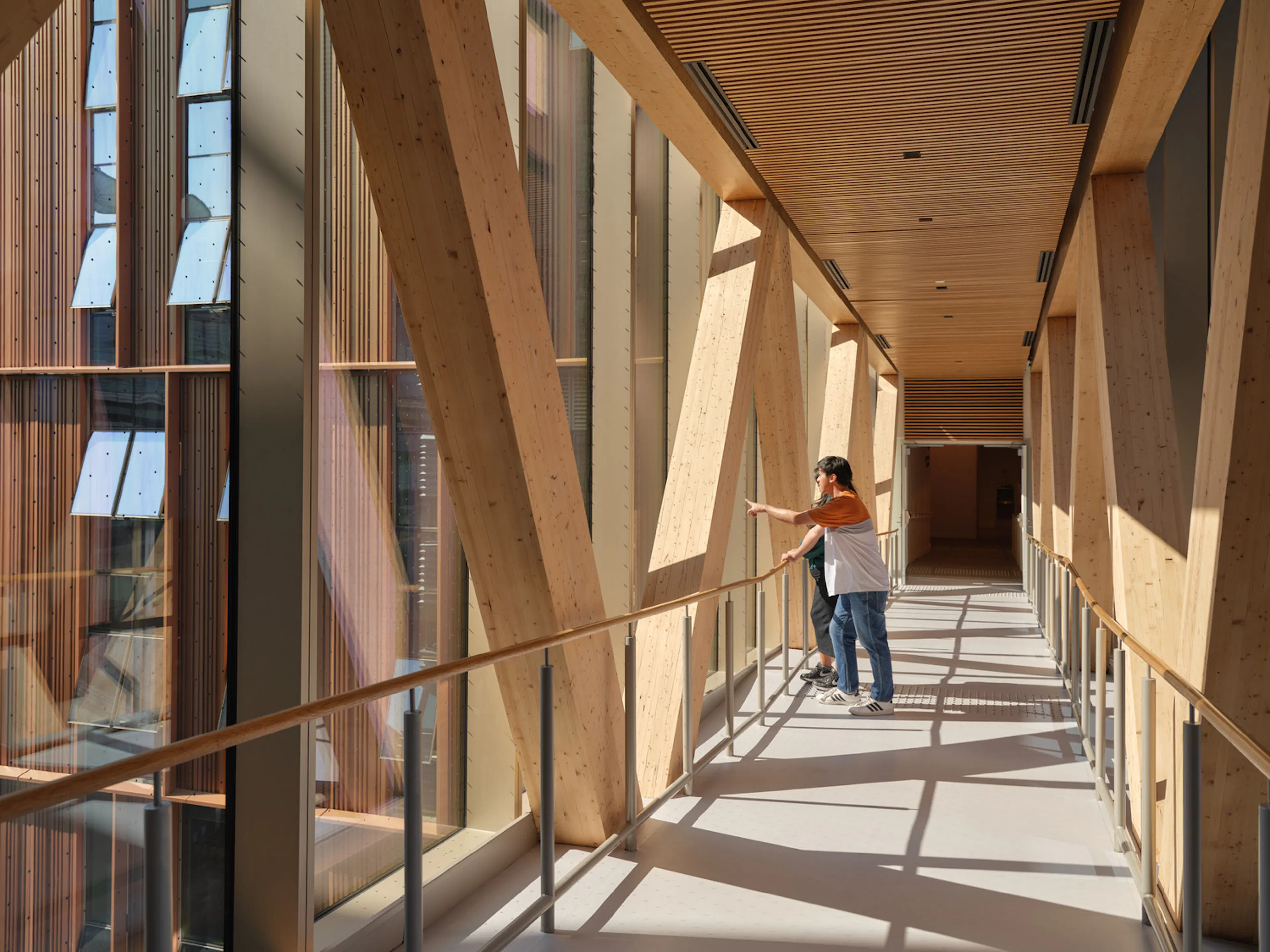 Limberlost Place, George Brown College — 26