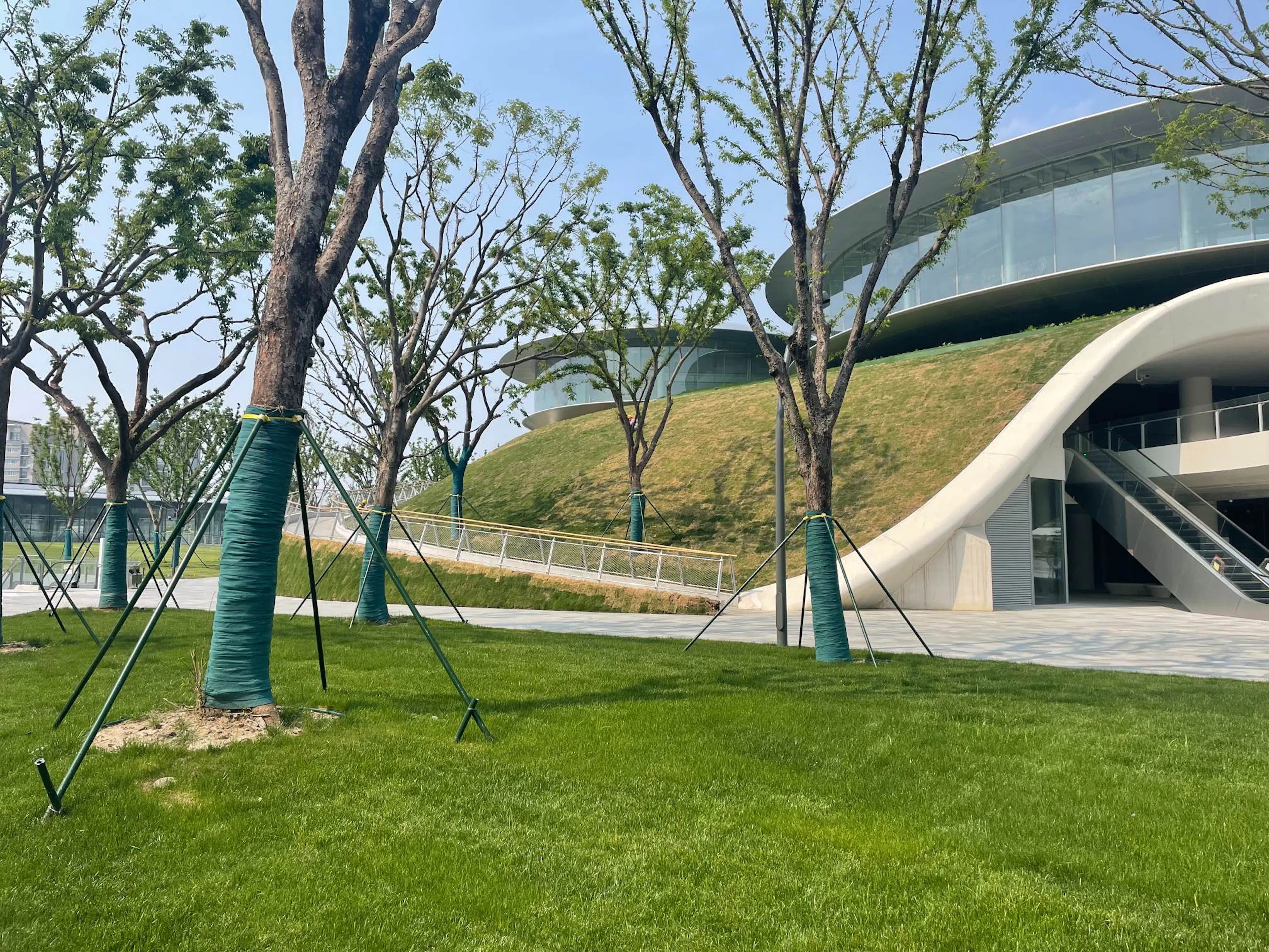 The "Train Station in the Forest" – Jiaxing Railway Station — 1