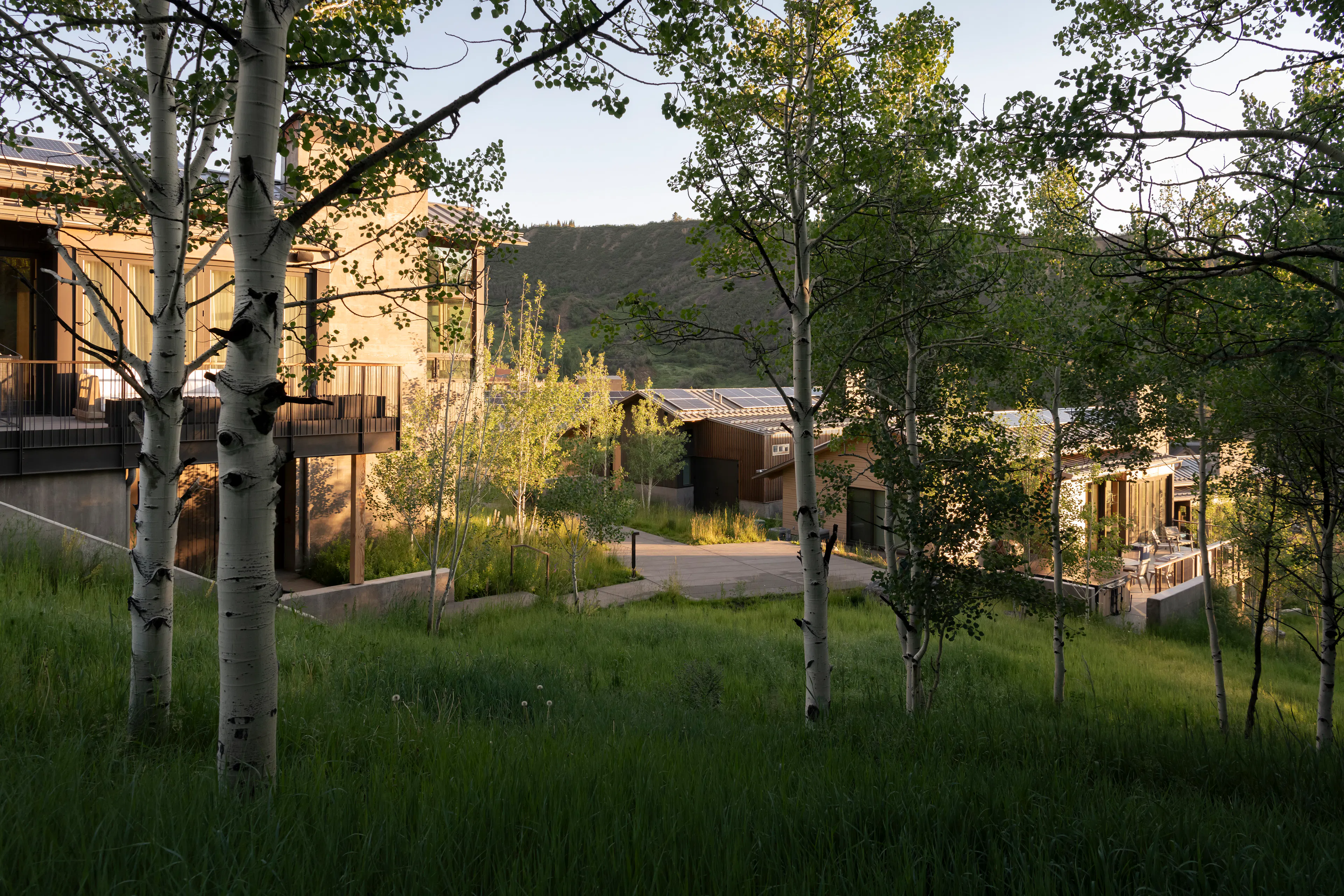 Andesite Ridge Retreat — 6