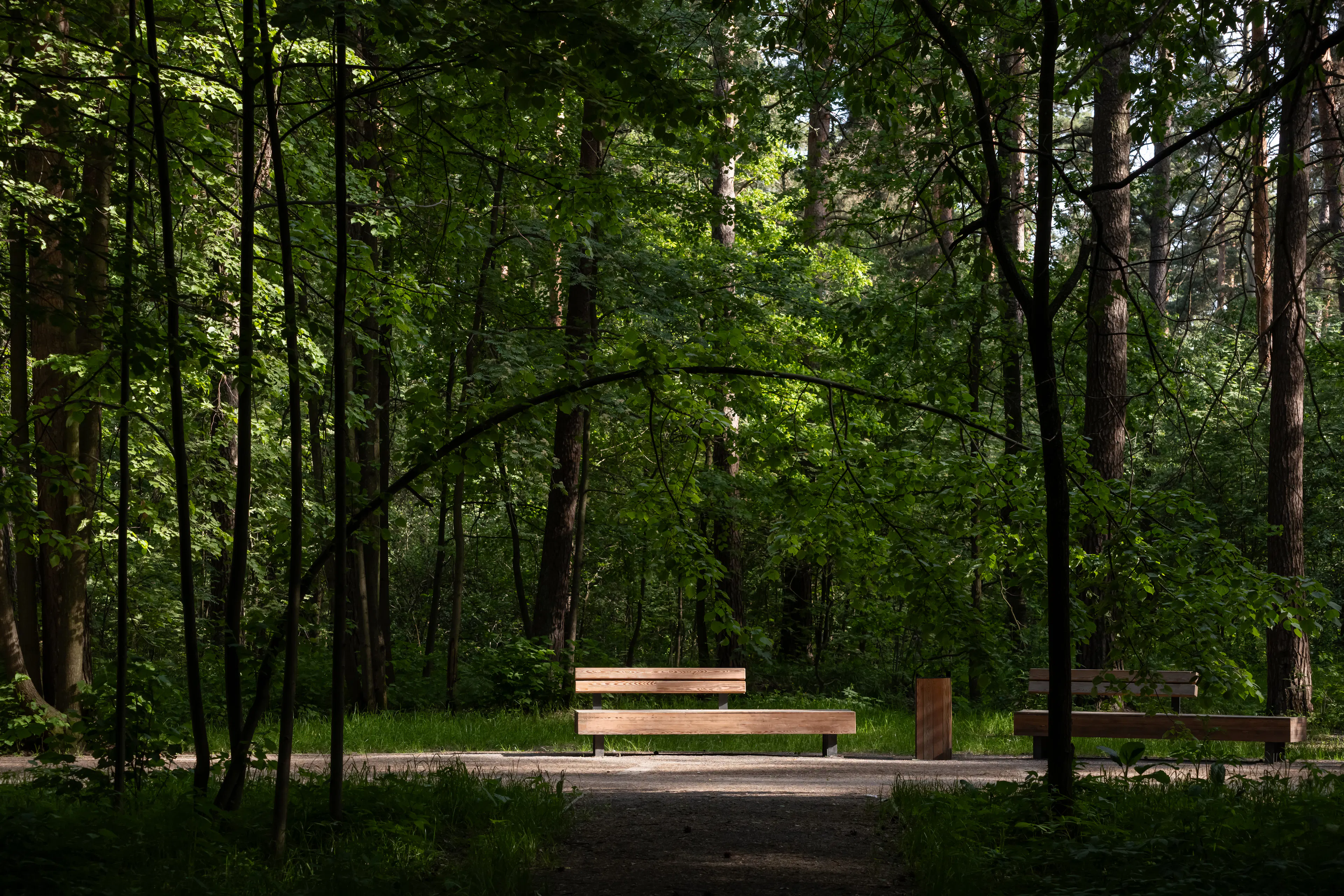 Opus Club House — 11