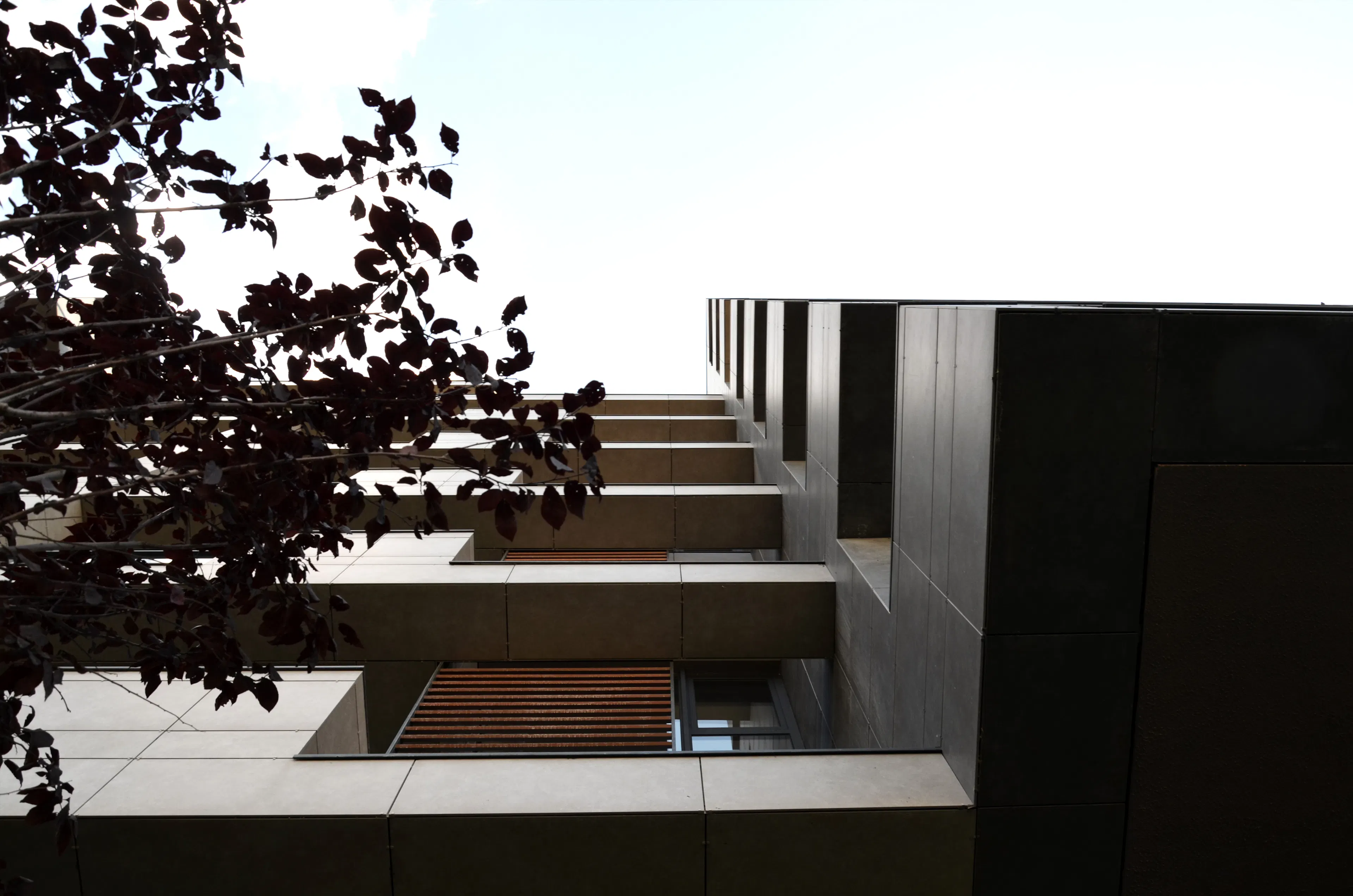 Rhythm Ankara — 21