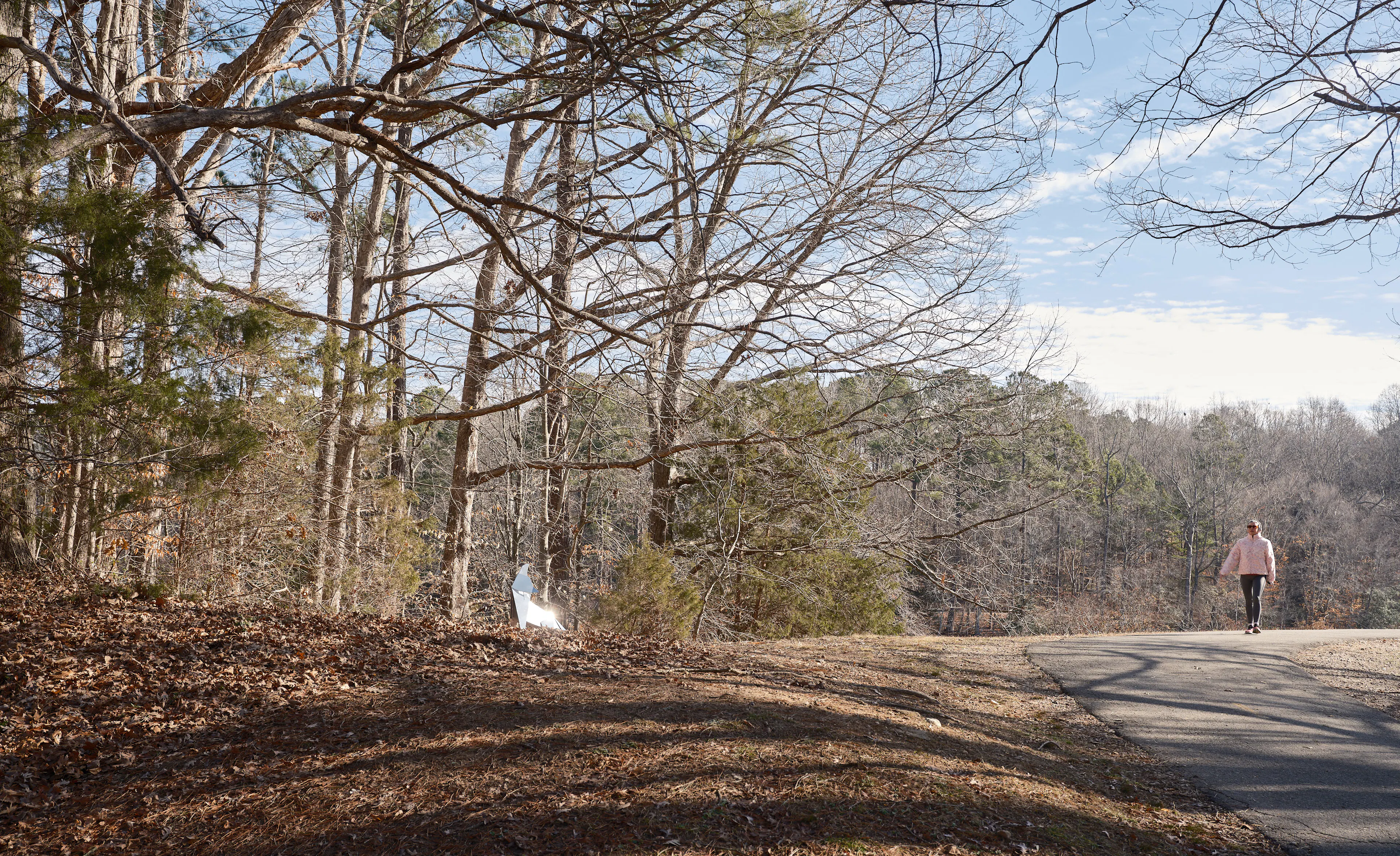 Alluvial Decoder (City of Raleigh Storm Memorial) — 18