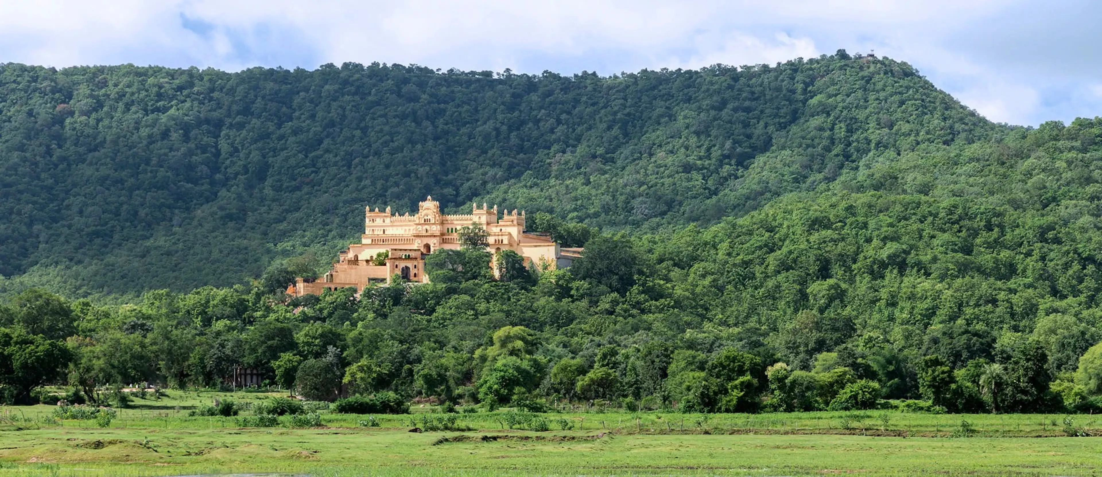 P Landscape Co., Ltd. — 2