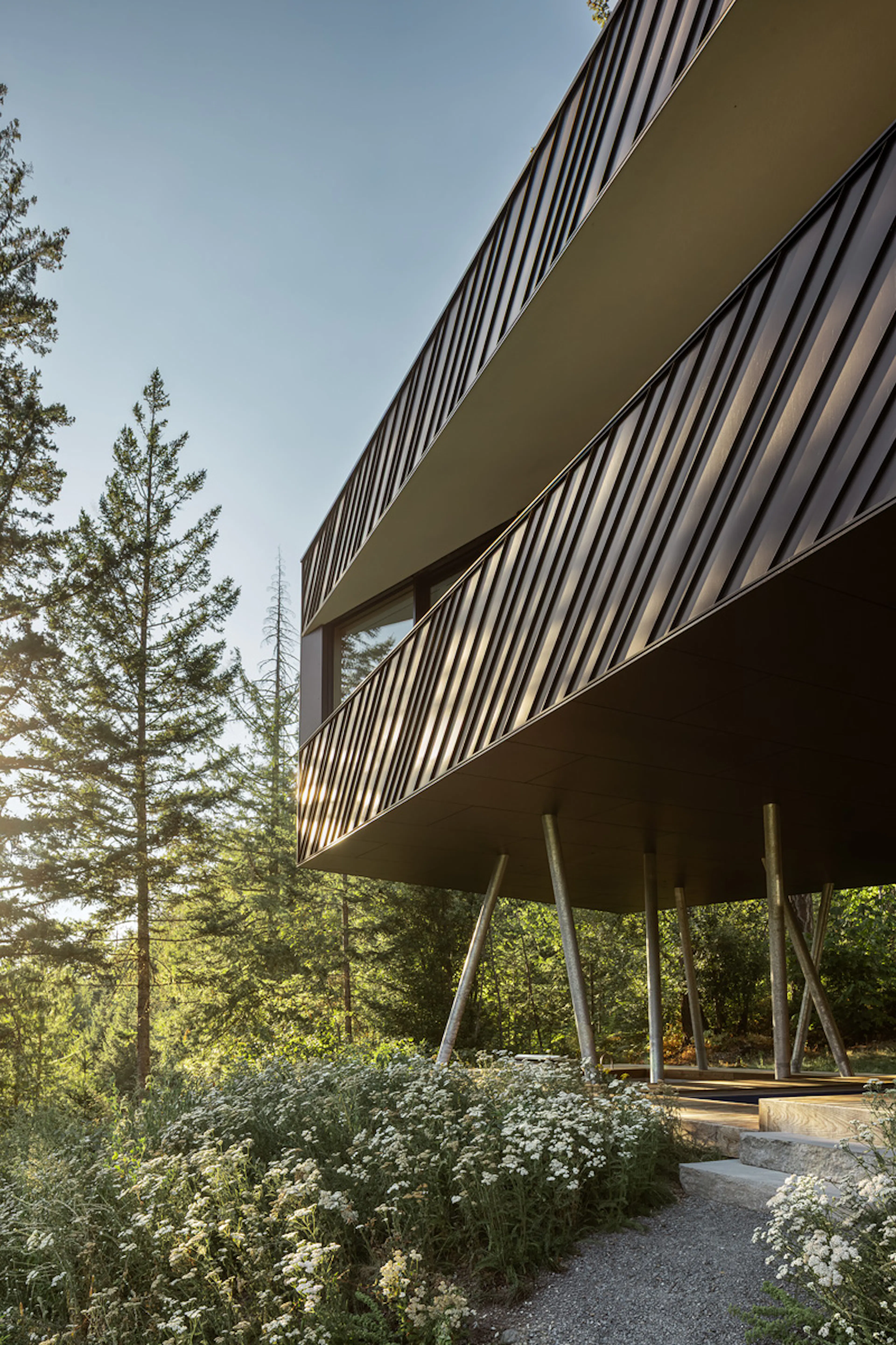 Passive Plus Forest Retreat — 3