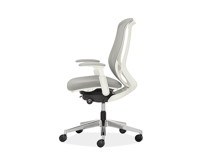 Sylphy Office Chairs