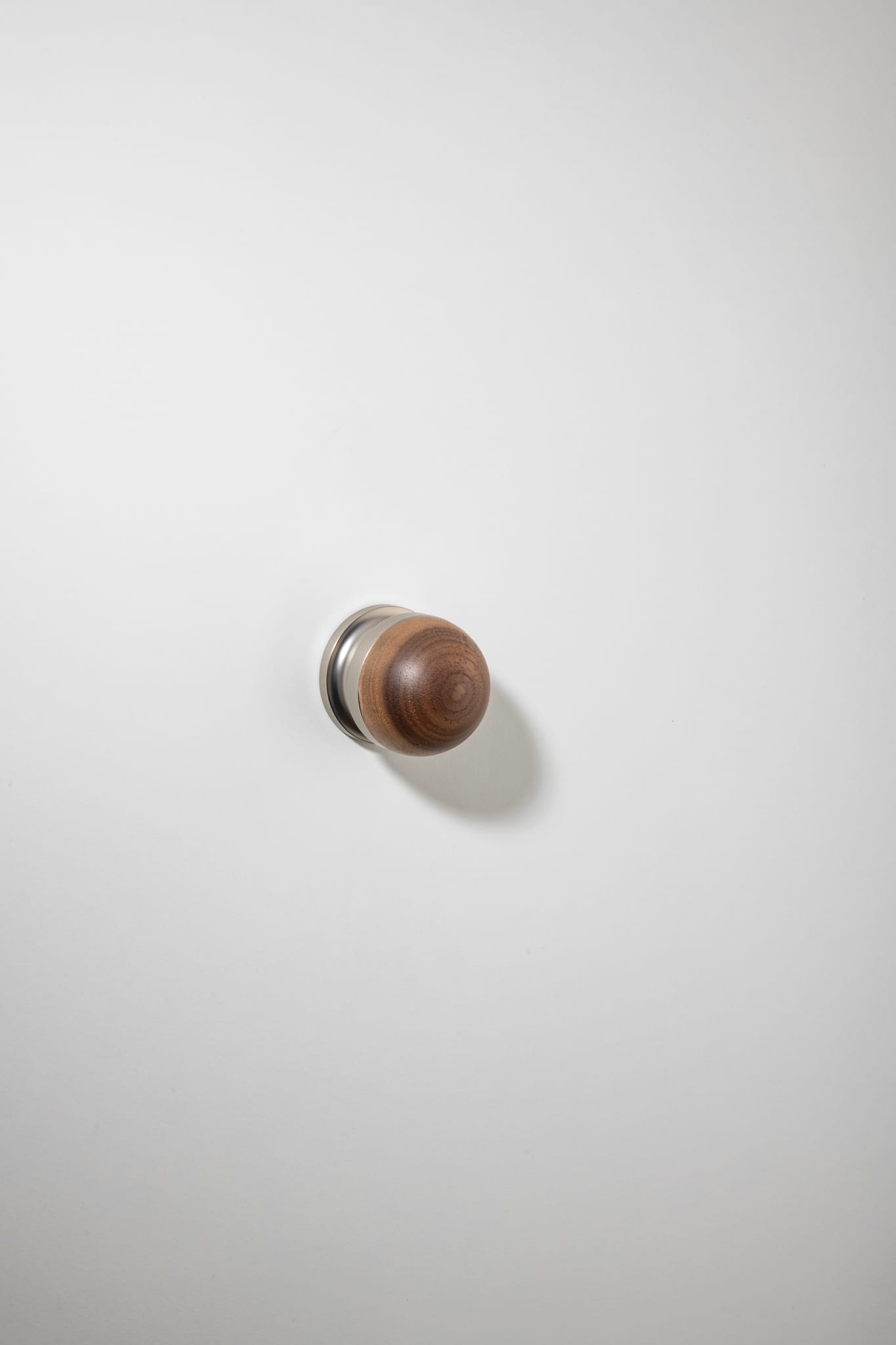 H02 Knob on Rose