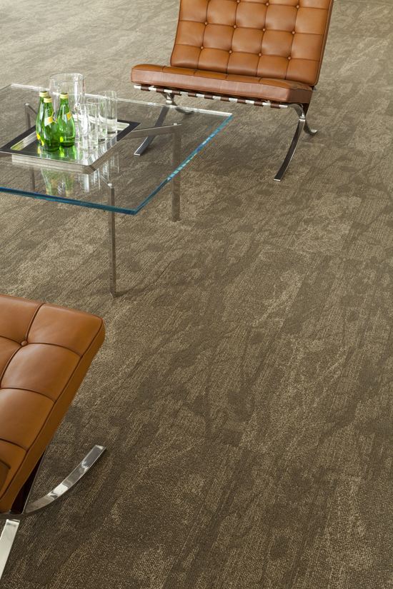 Urban Canopy Collection