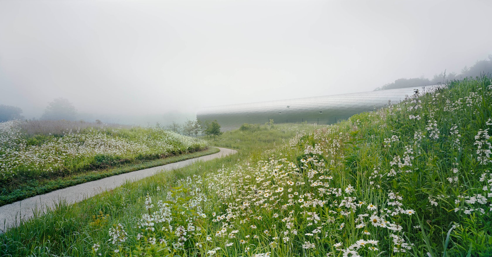 (c) Elizabeth Felicella - © Steven Holl Architects
