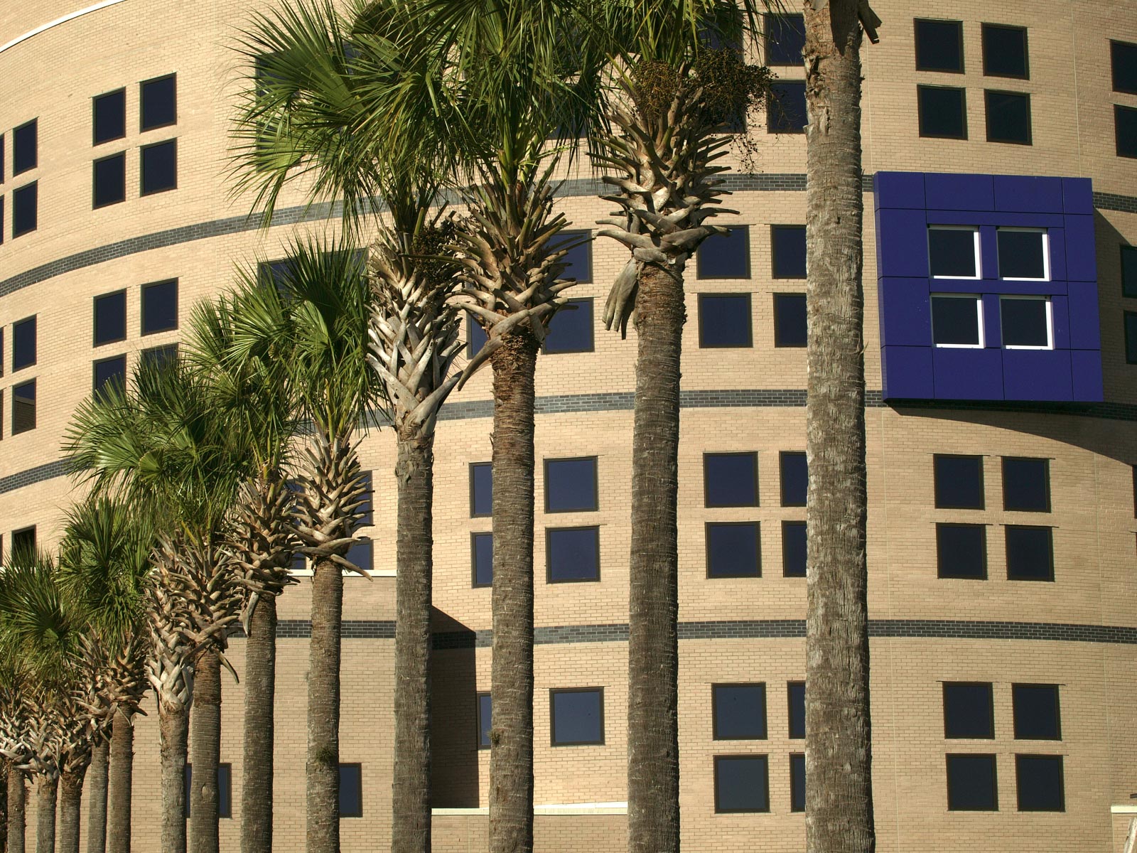 The Winnie Palmer Hospital for Women & Babies by Jonathan Bailey