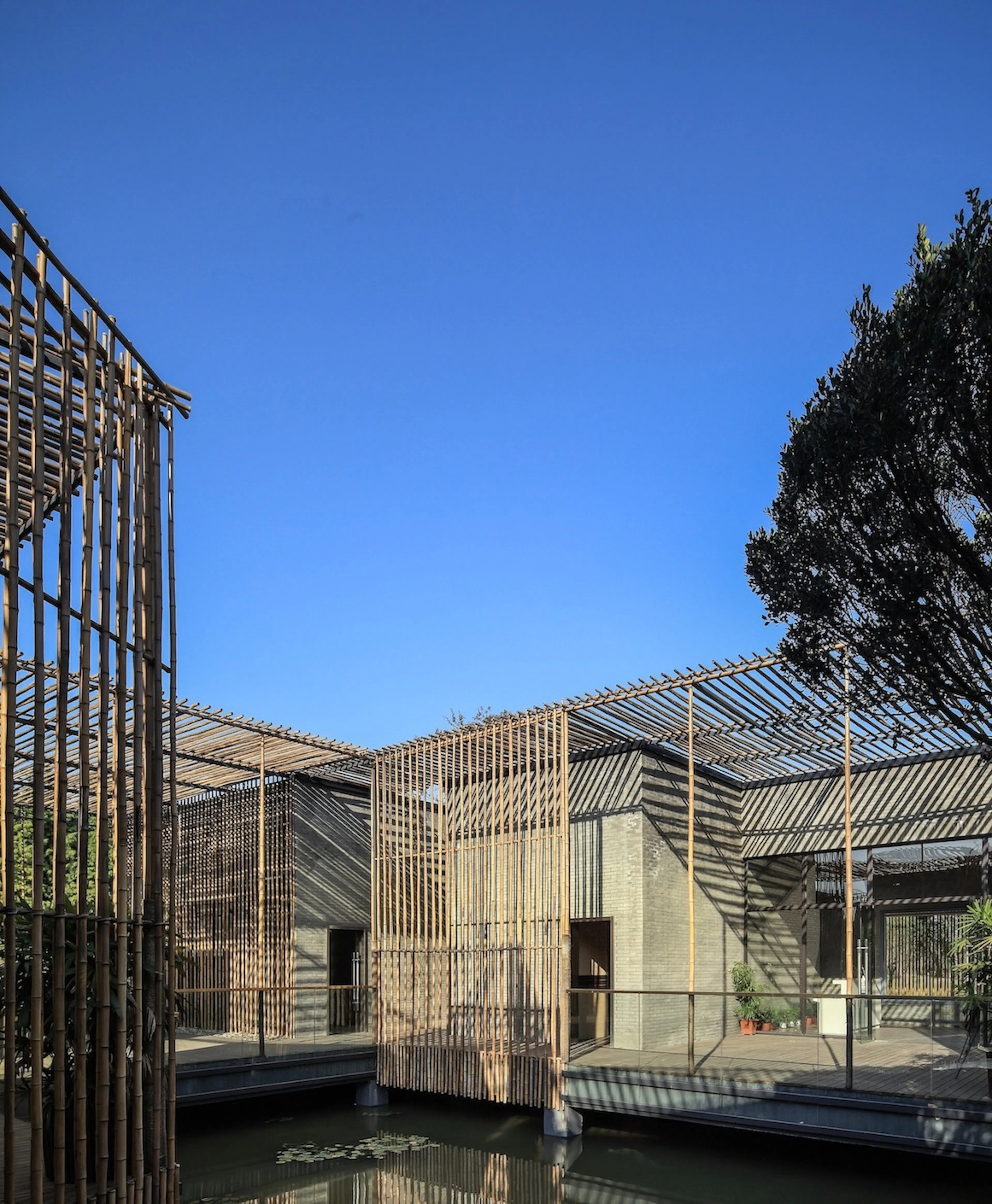 Bamboo Courtyard Teahouse — 4