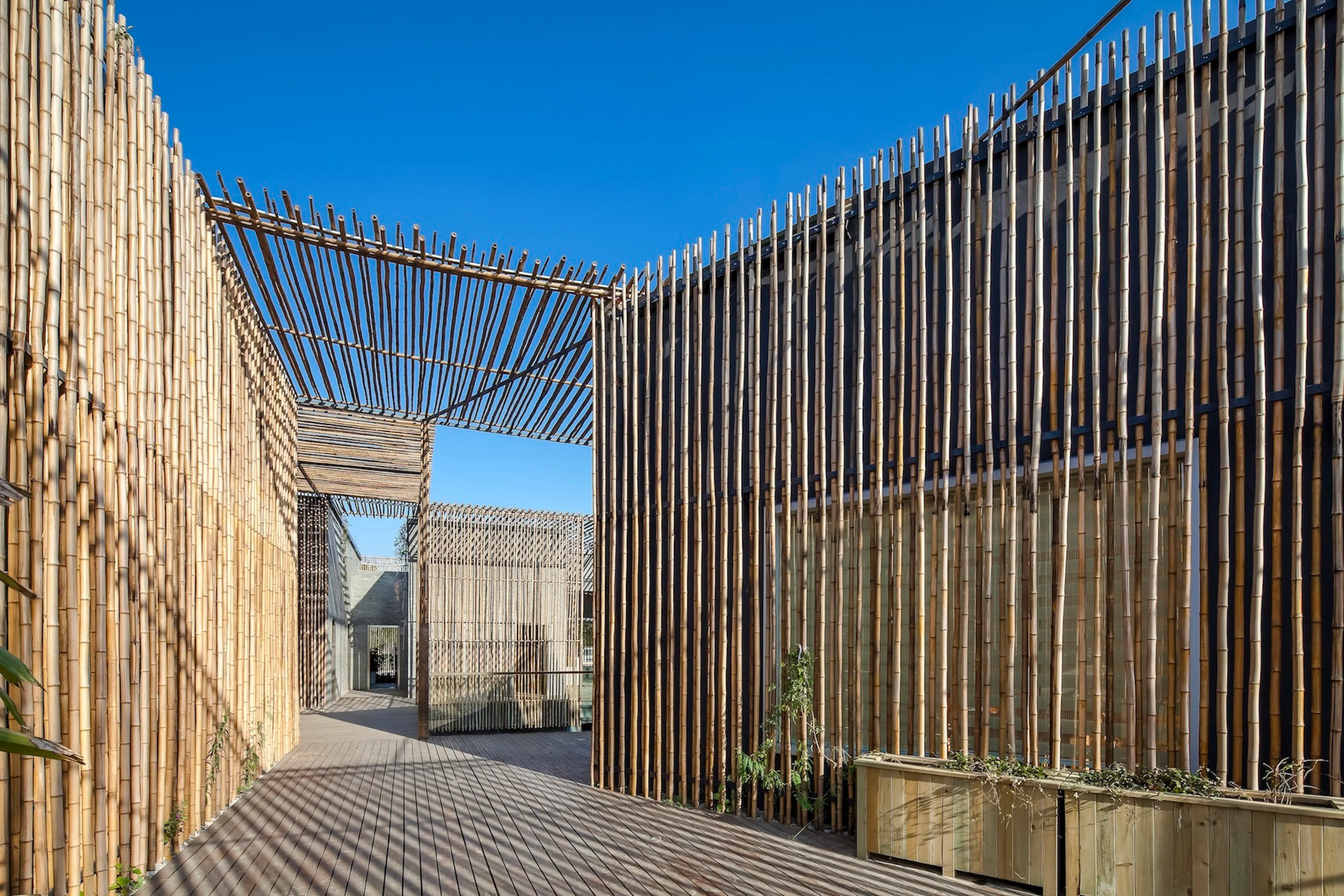 Bamboo Courtyard Teahouse — 5