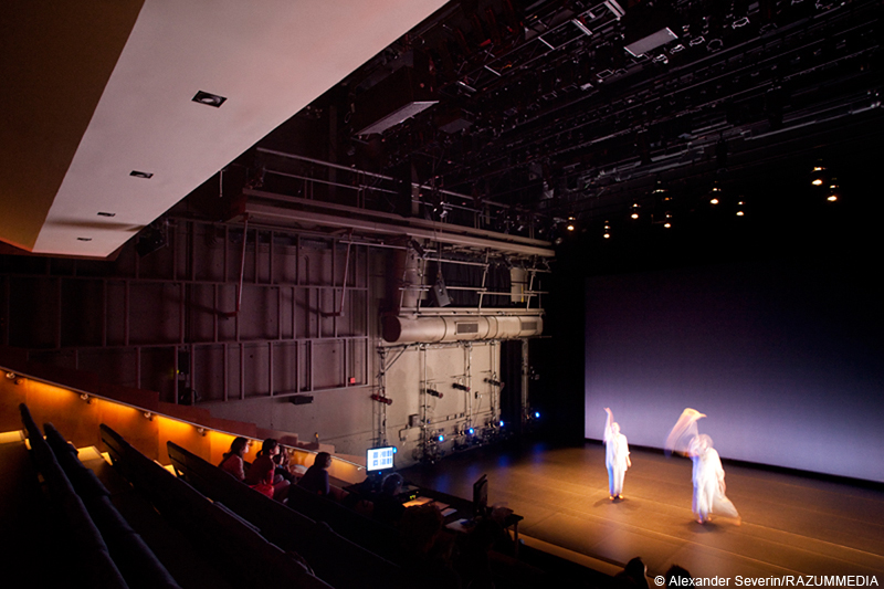 Baryshnikov Arts Center, Jerome Robbins Theater by think