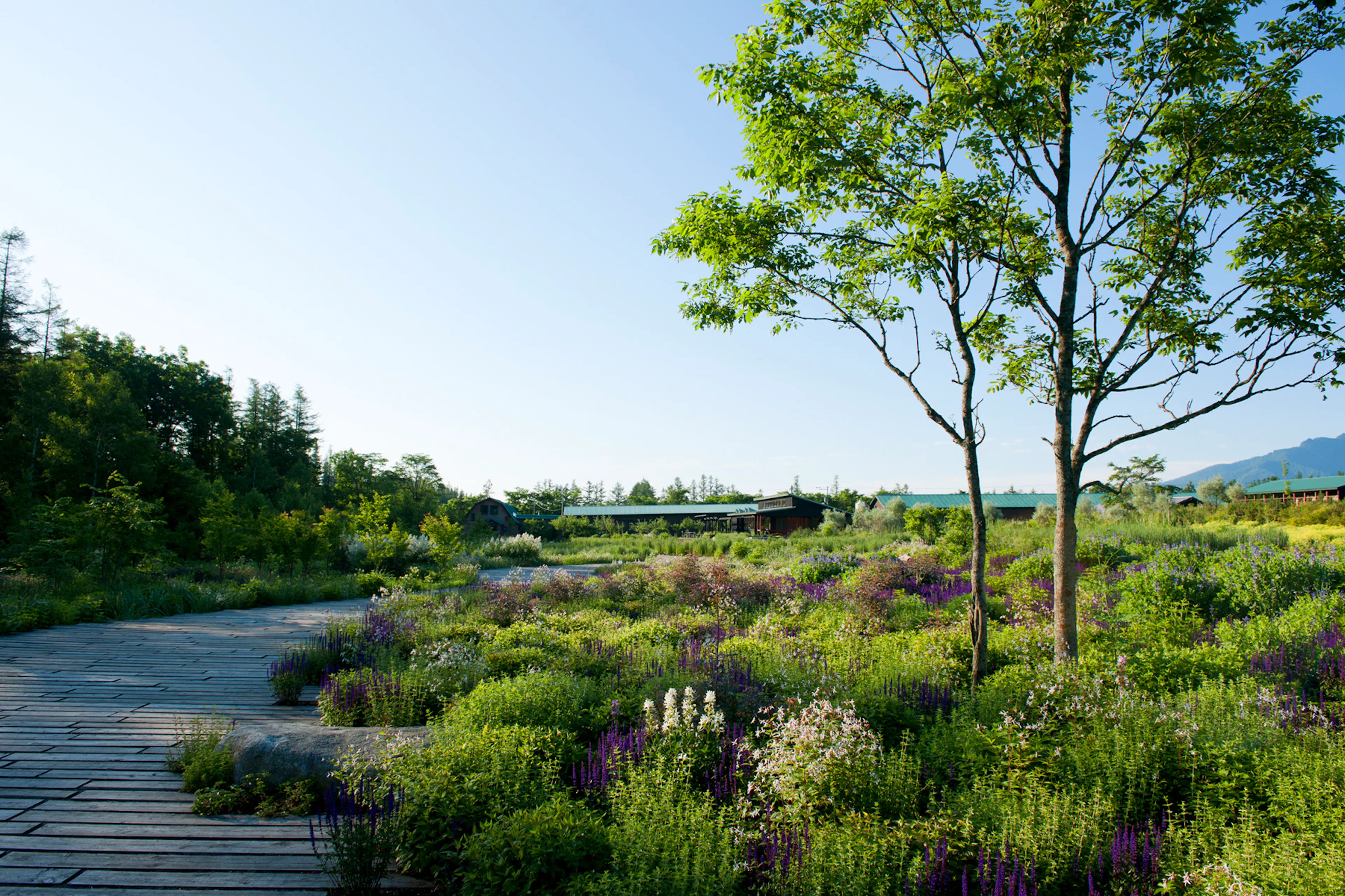 Tokachi Millennium Forest — 11