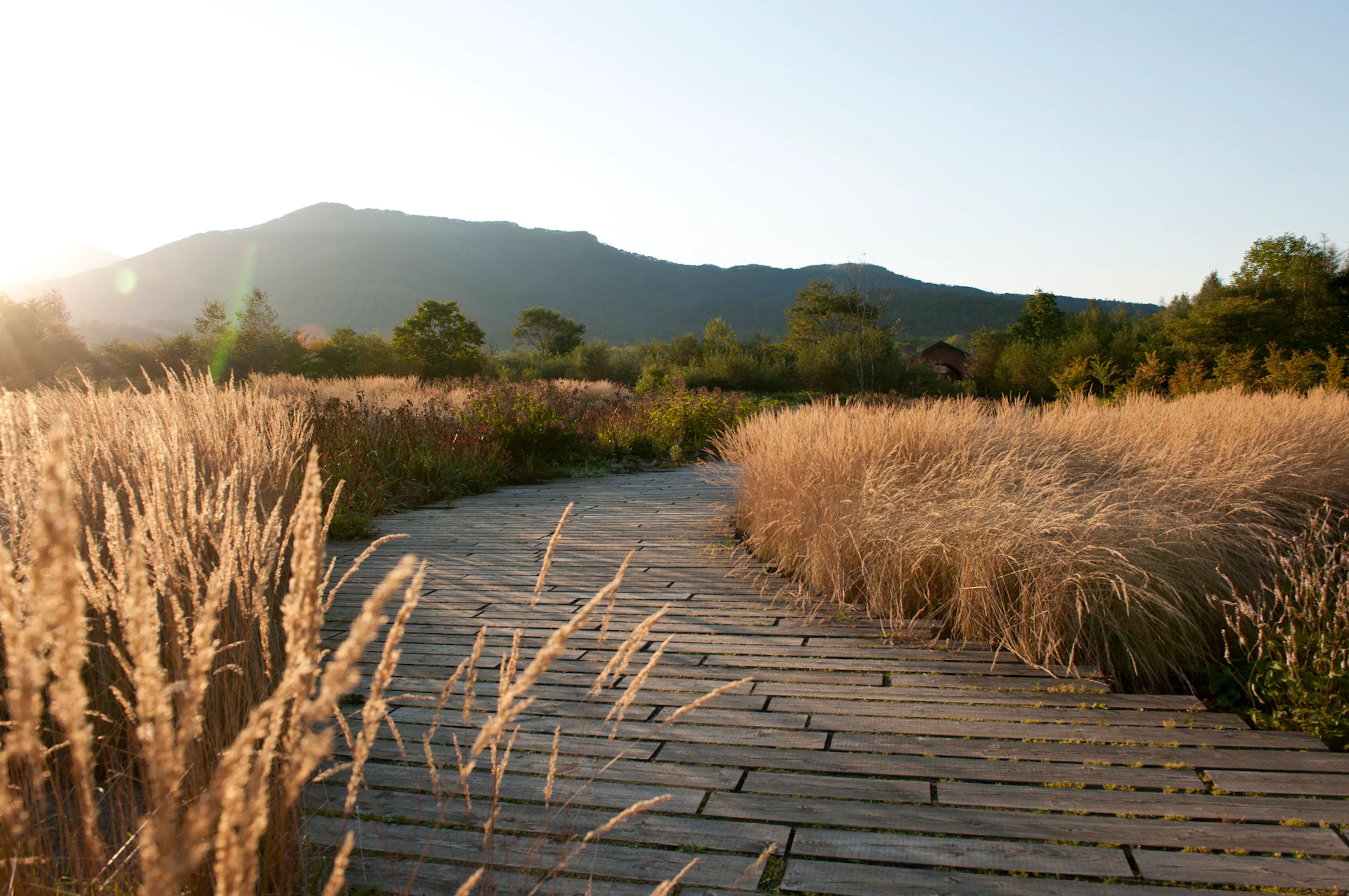 Tokachi Millennium Forest — 9