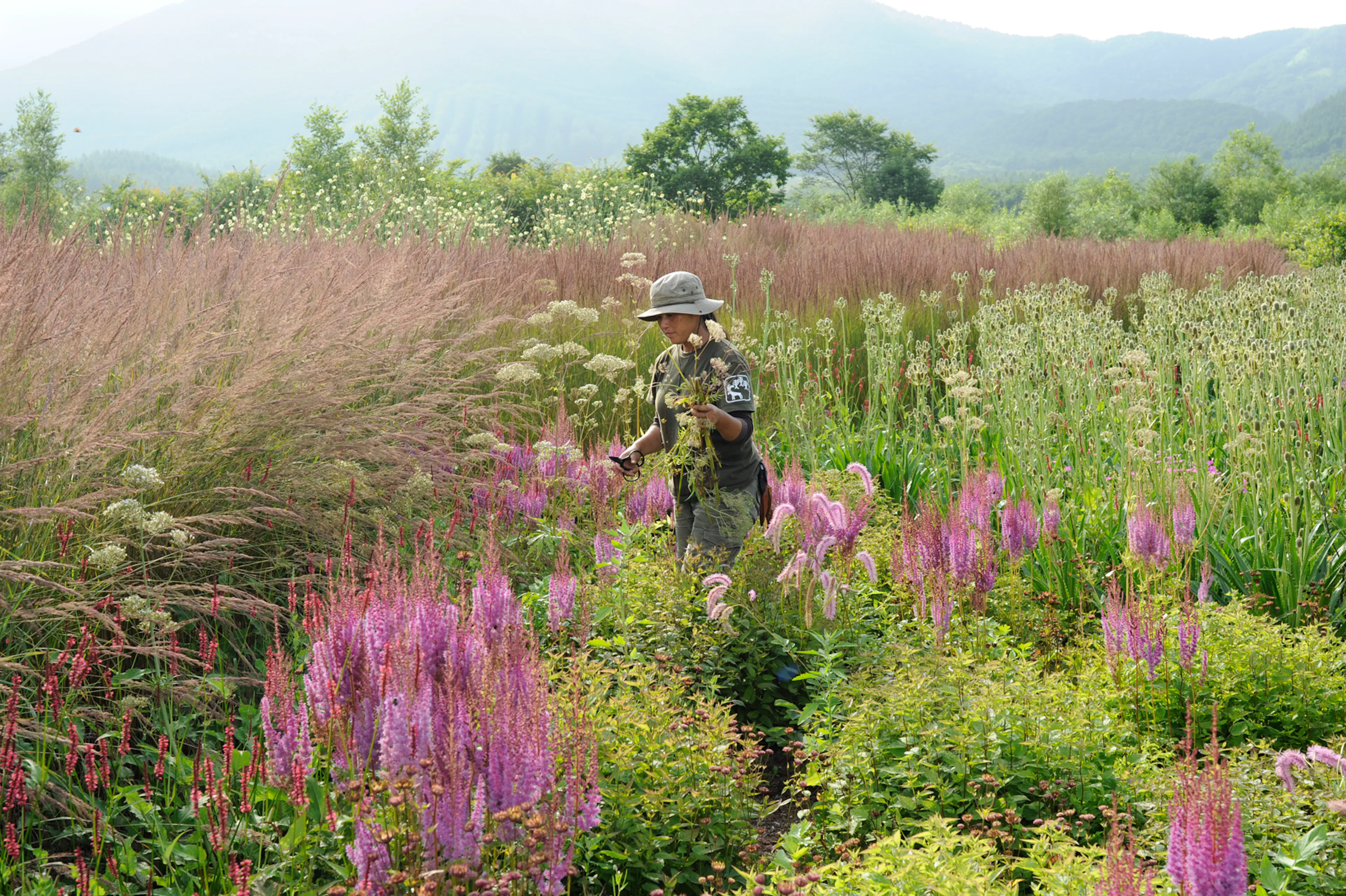 Tokachi Millennium Forest — 3