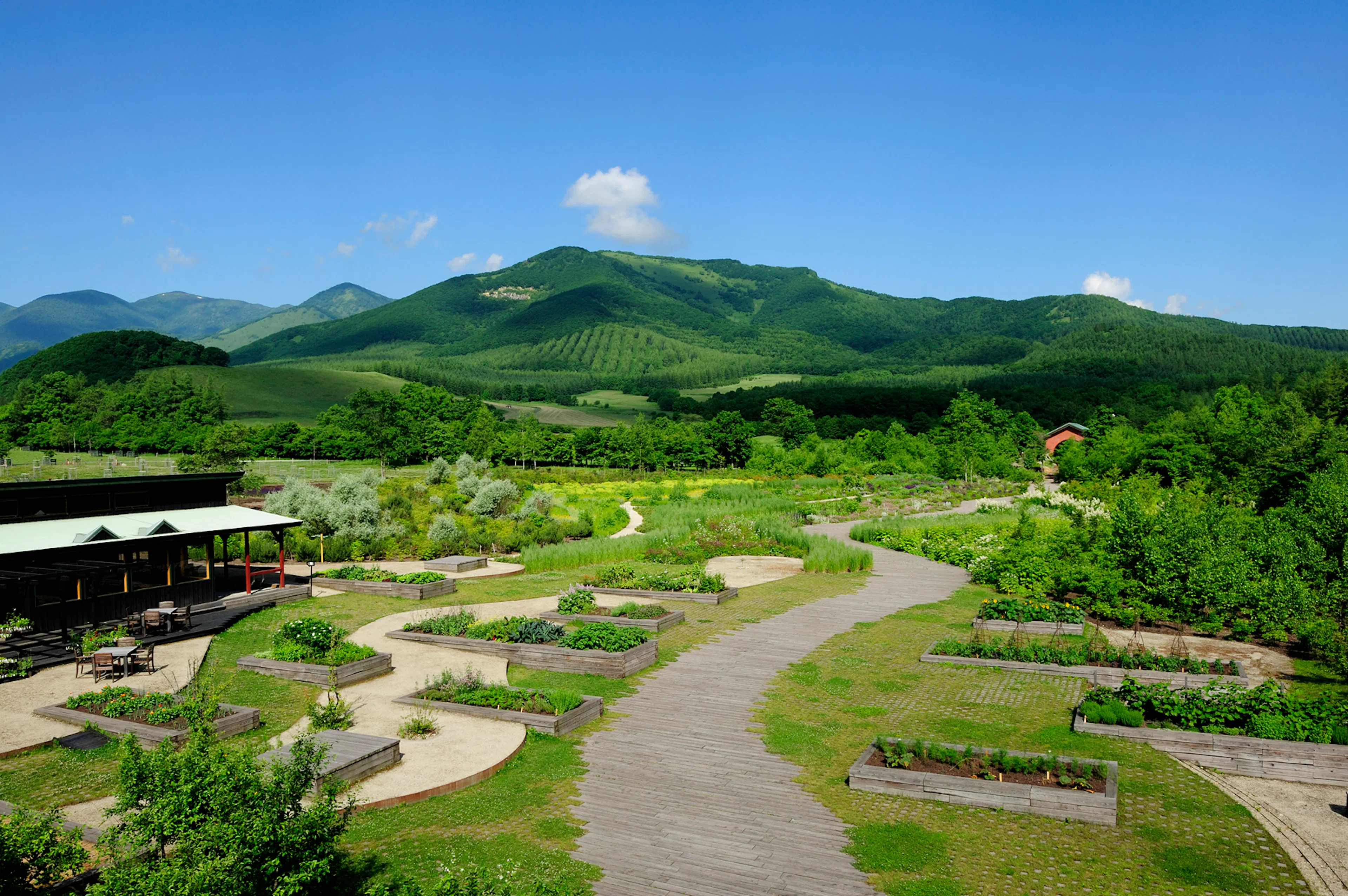 Tokachi Millennium Forest — 1