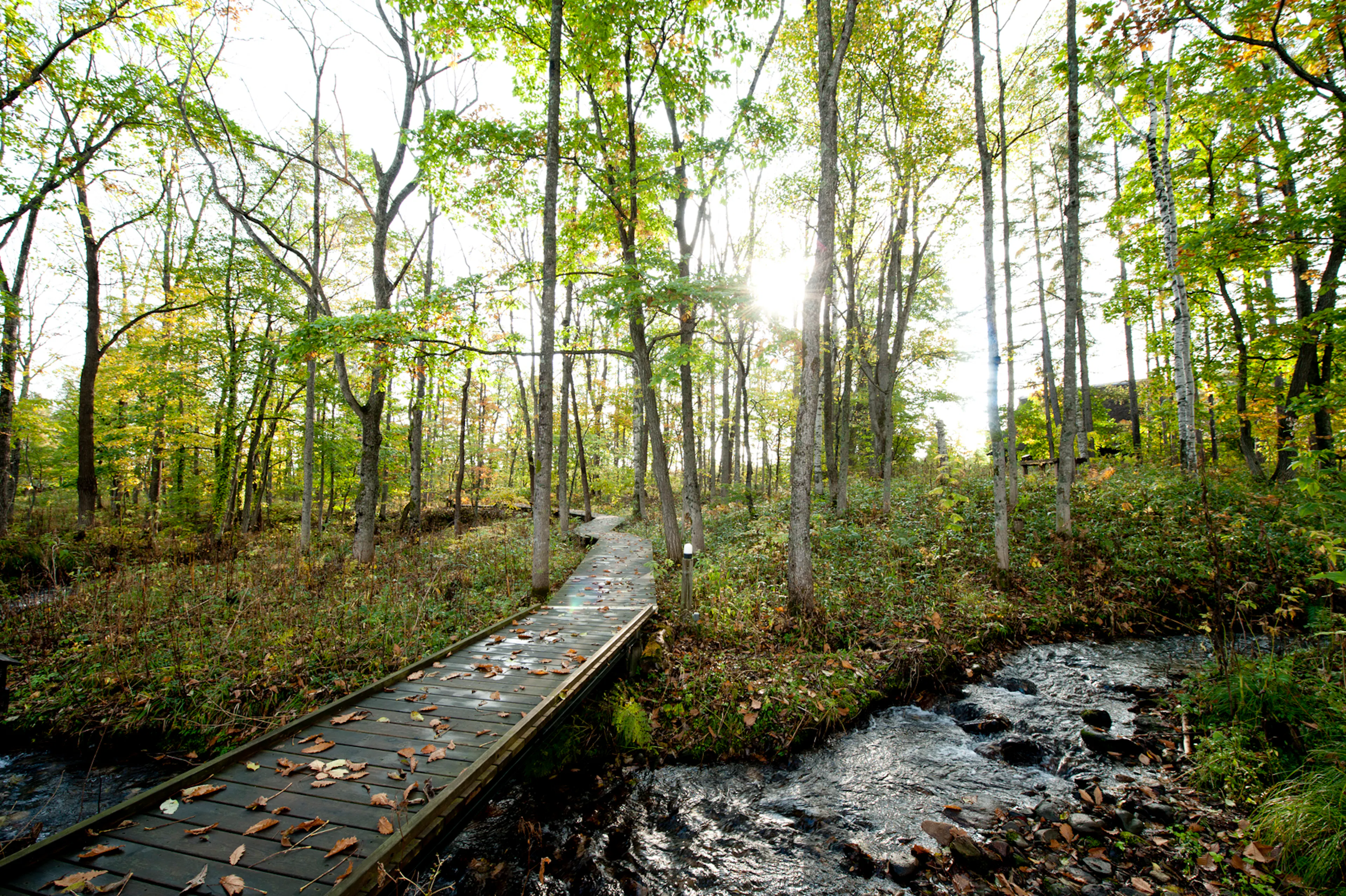 Tokachi Millennium Forest — 2