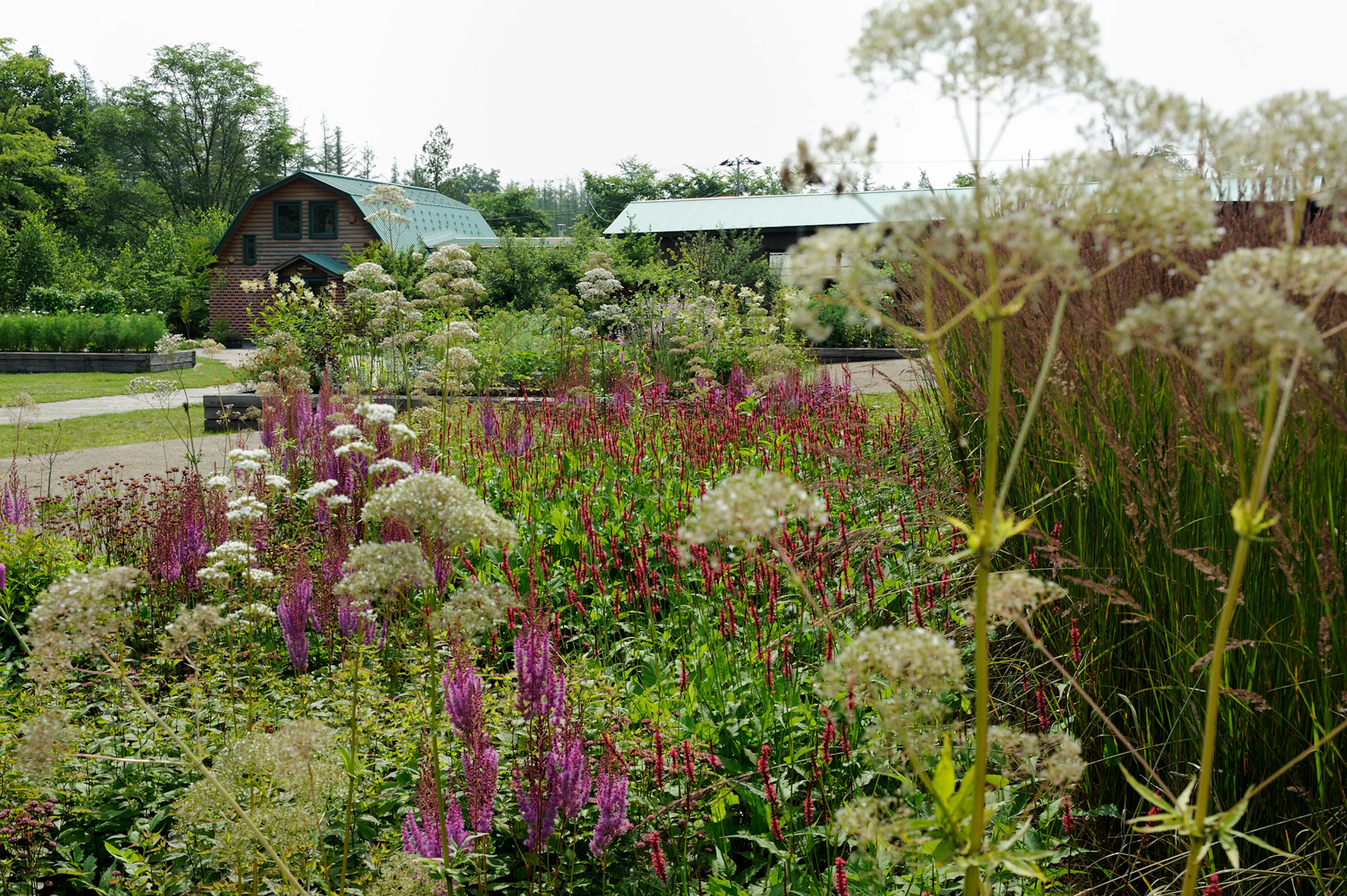 Tokachi Millennium Forest — 8